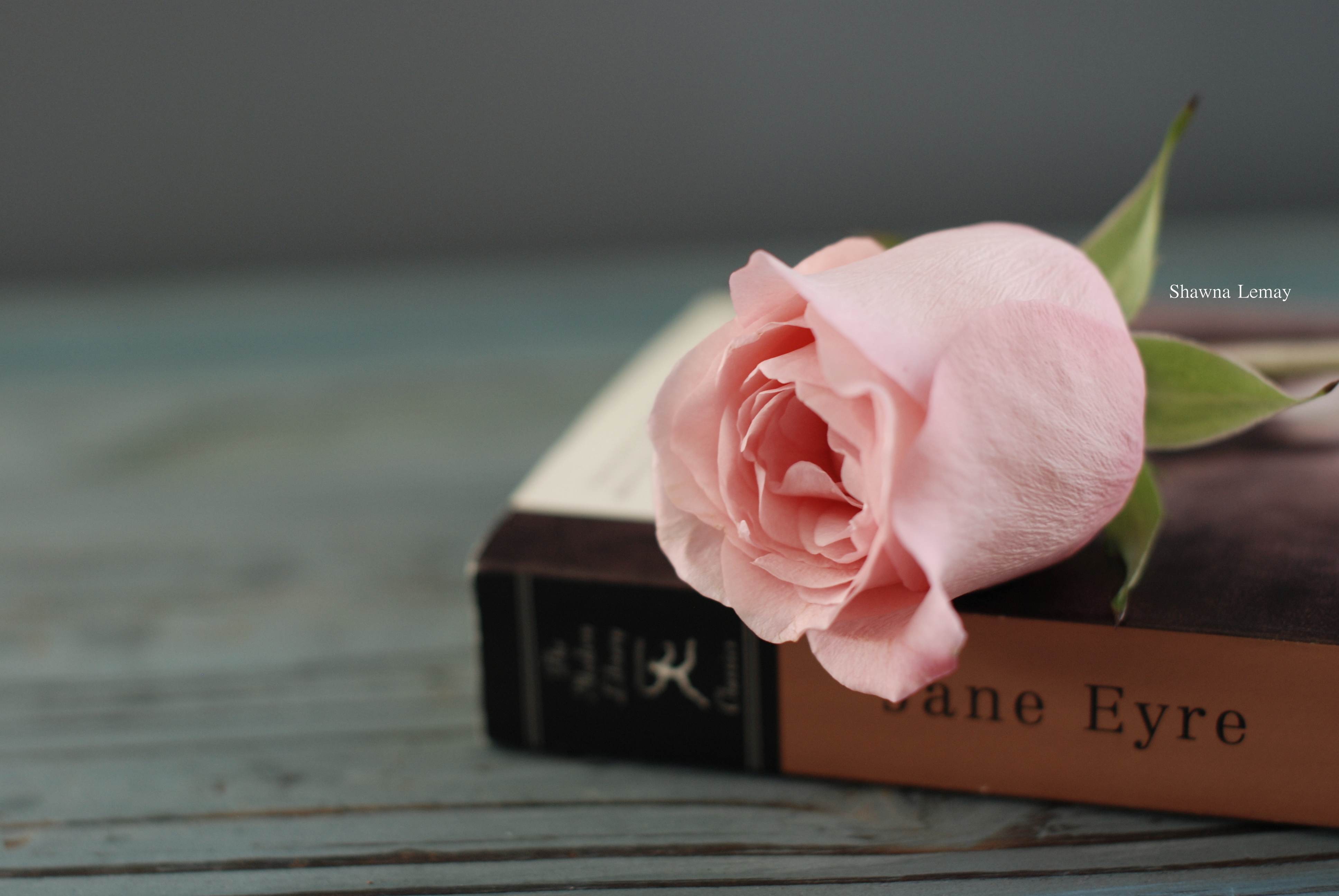 Flowers And Books Wallpapers