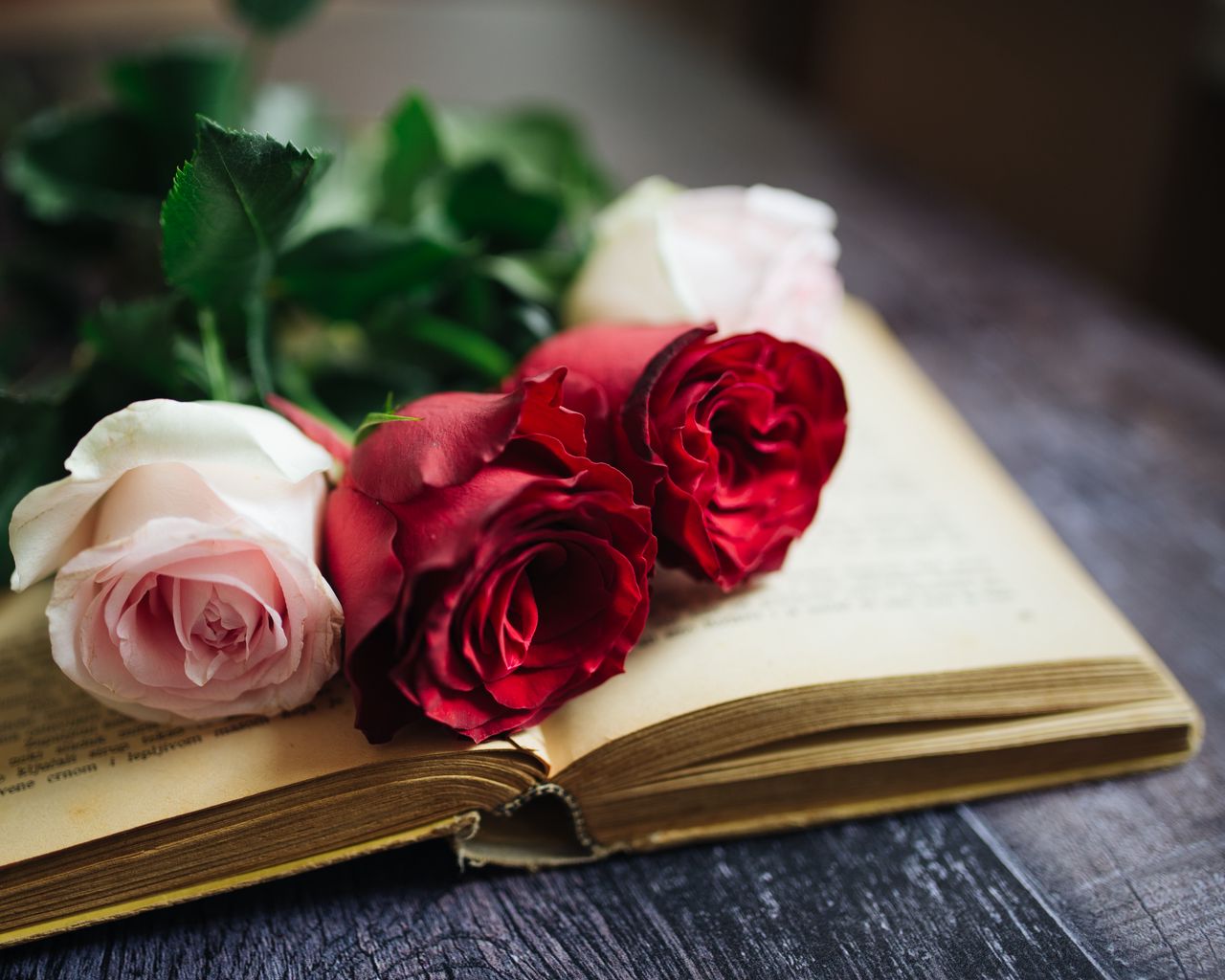 Flowers And Books Wallpapers