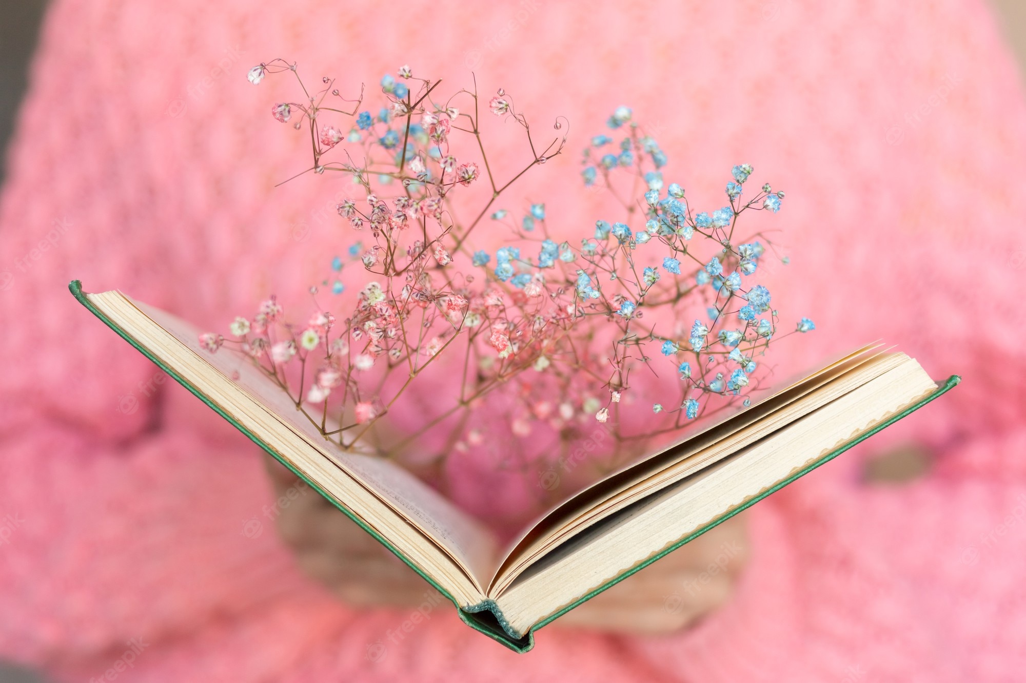 Flowers And Books Wallpapers