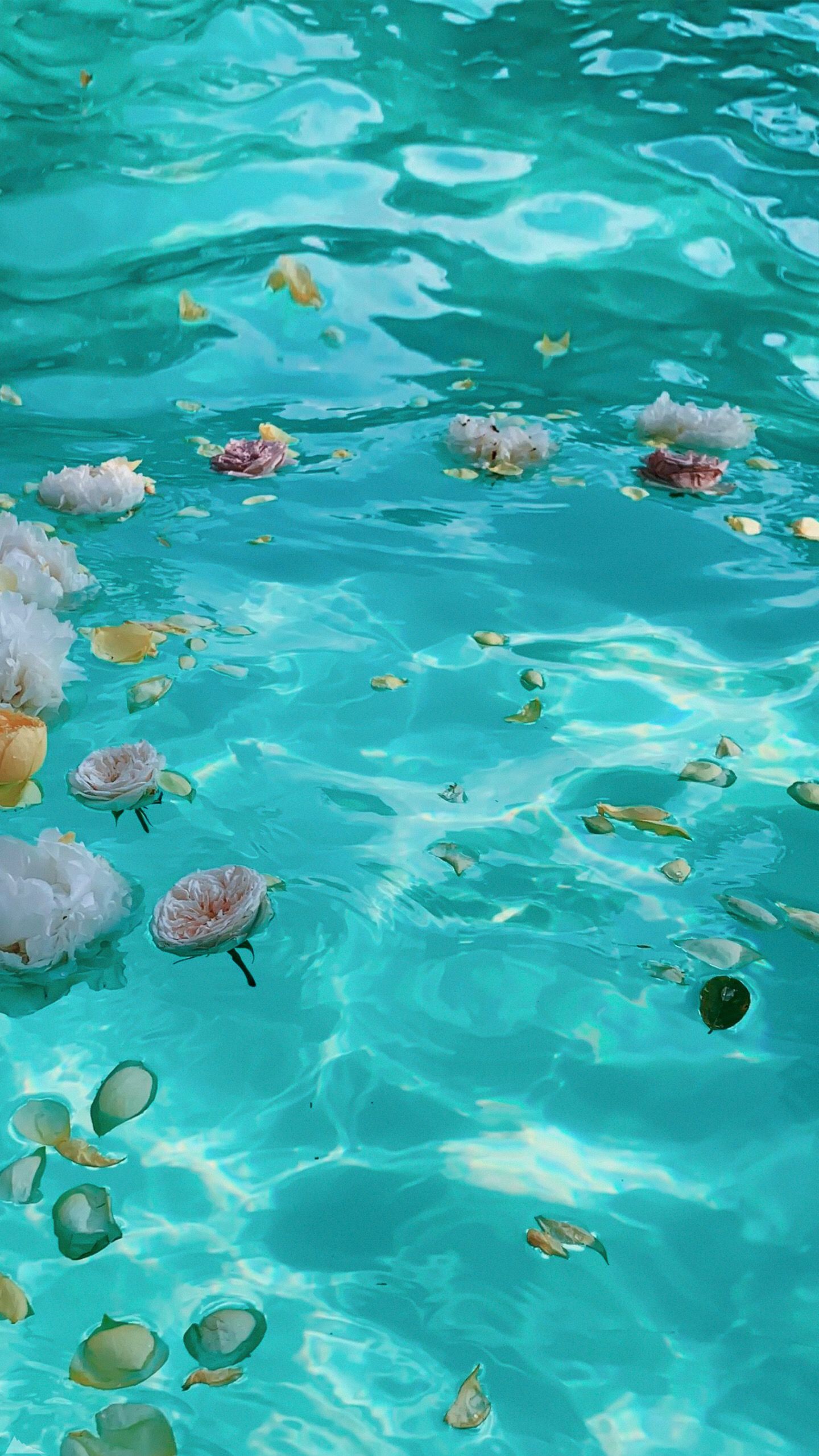 Flowers In Water Aesthetic Wallpapers