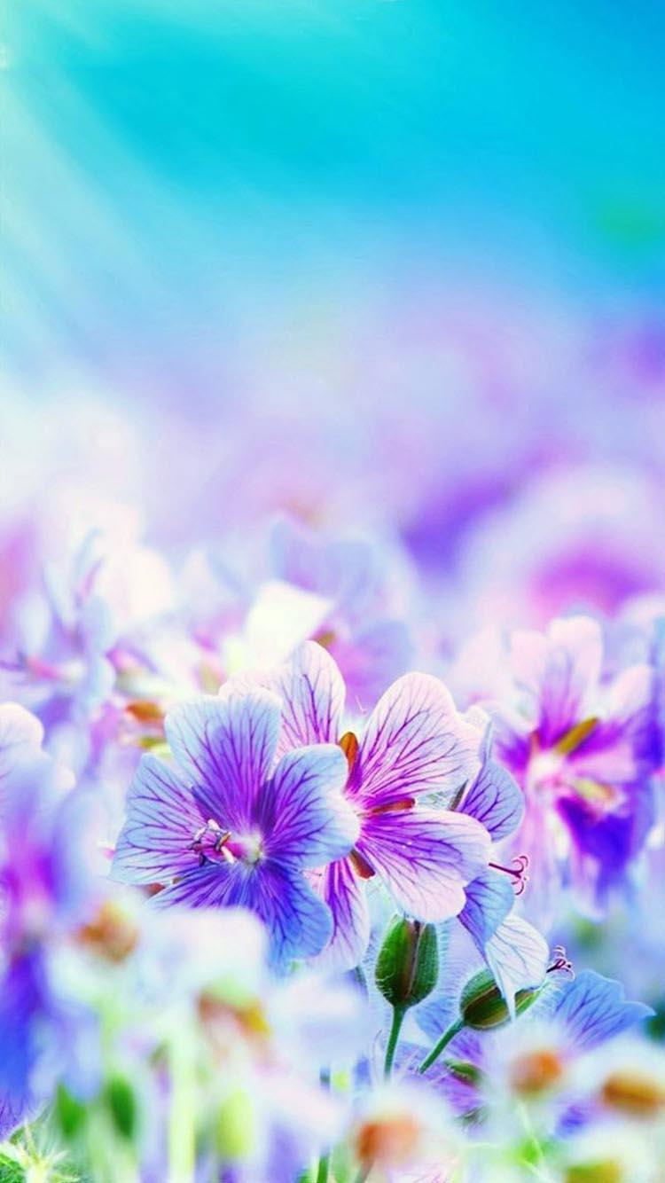 Flowers Vertical Wallpapers