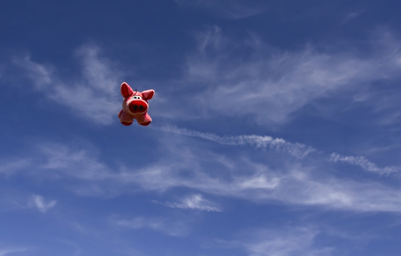 Flying Pig Wallpapers