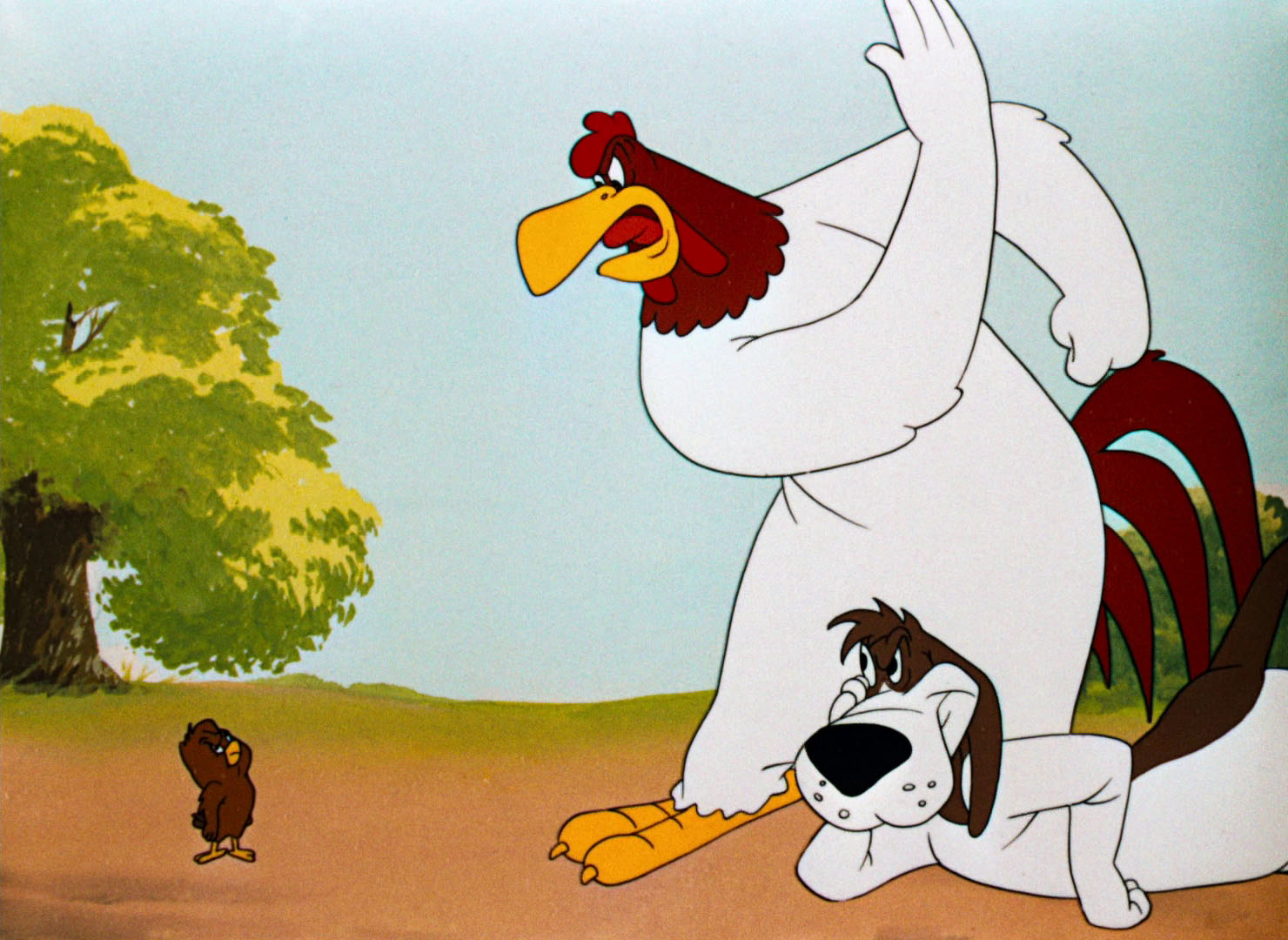 Foghorn Leghorn Wallpapers