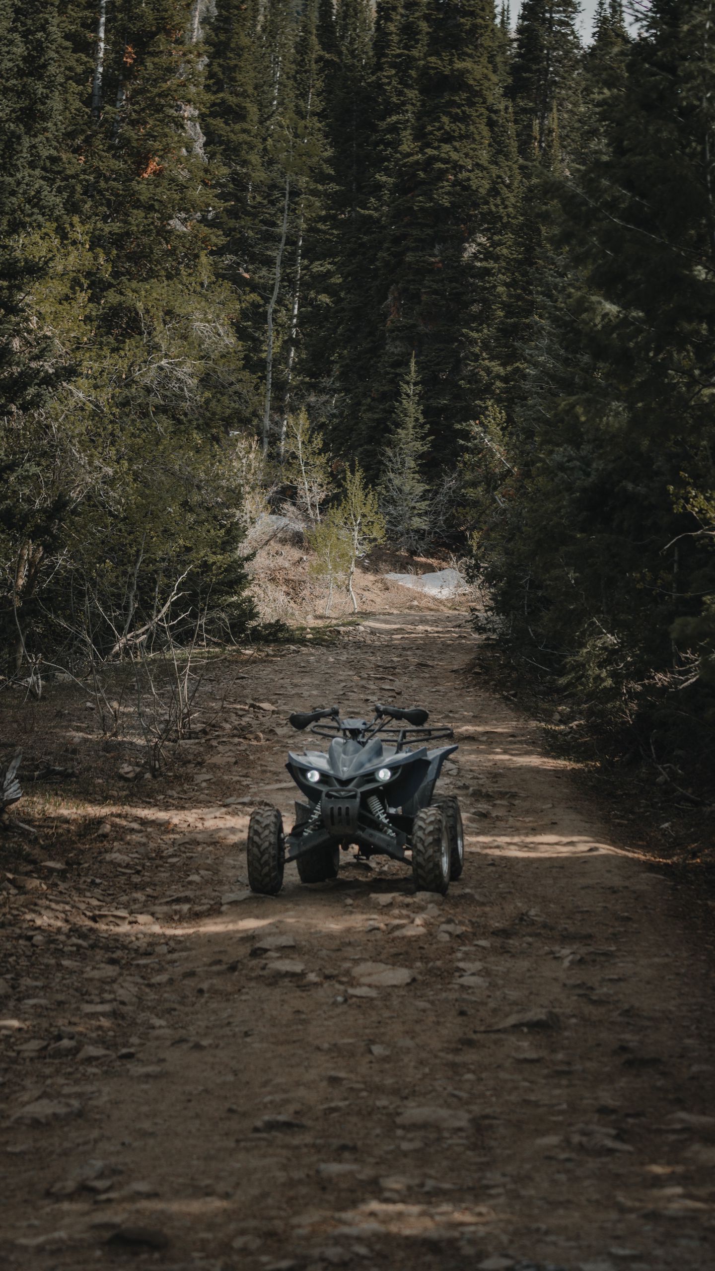 Four Wheelers Wallpapers