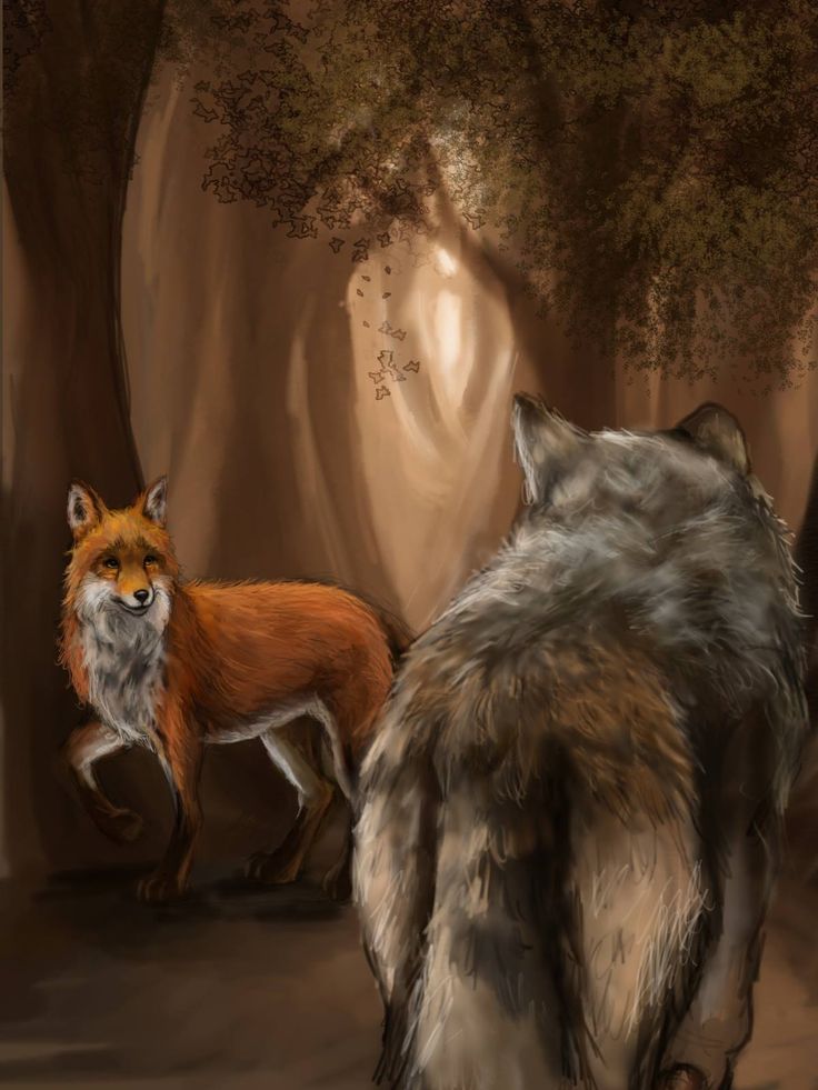 Fox And Wolf Wallpapers