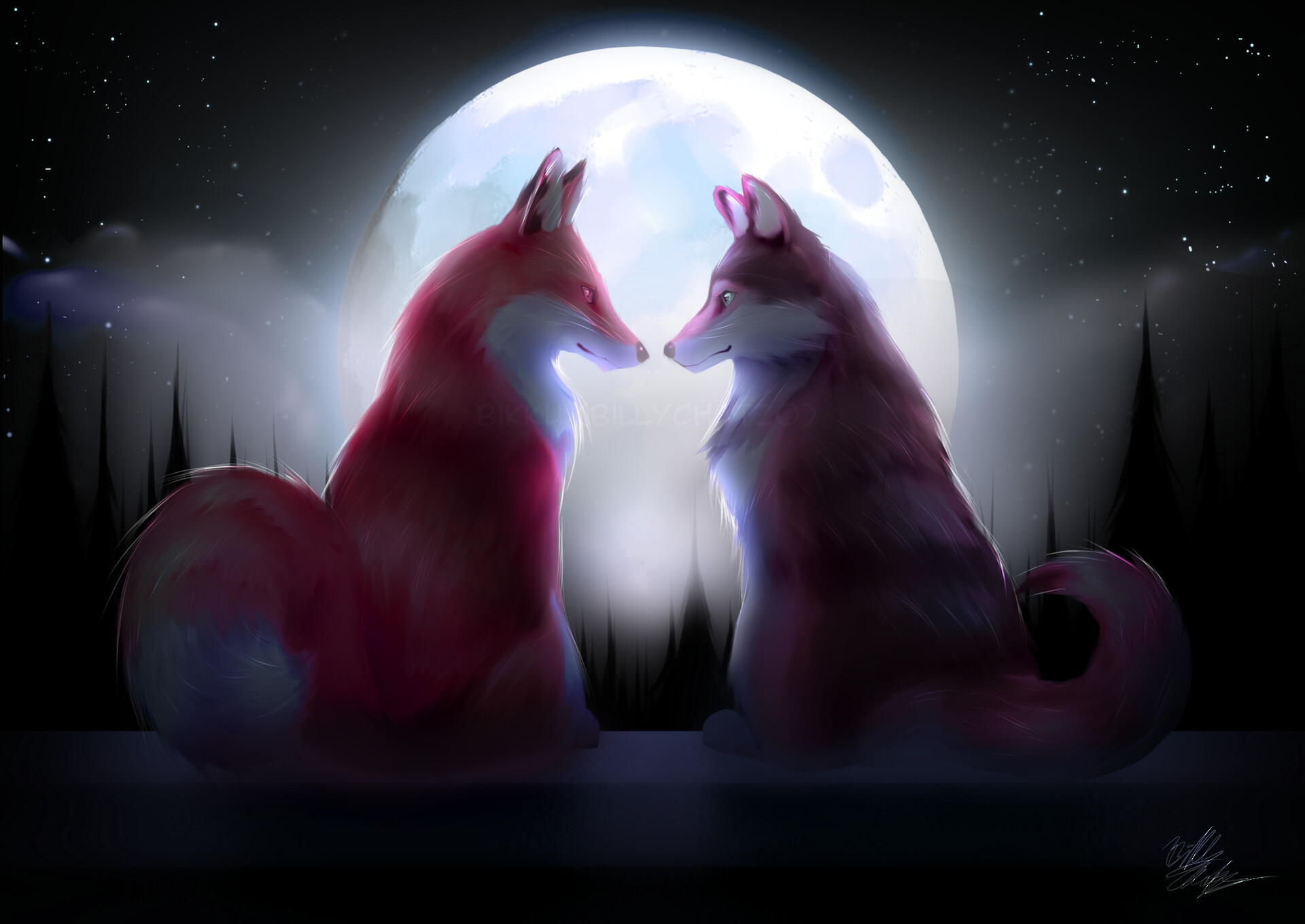 Fox And Wolf Wallpapers