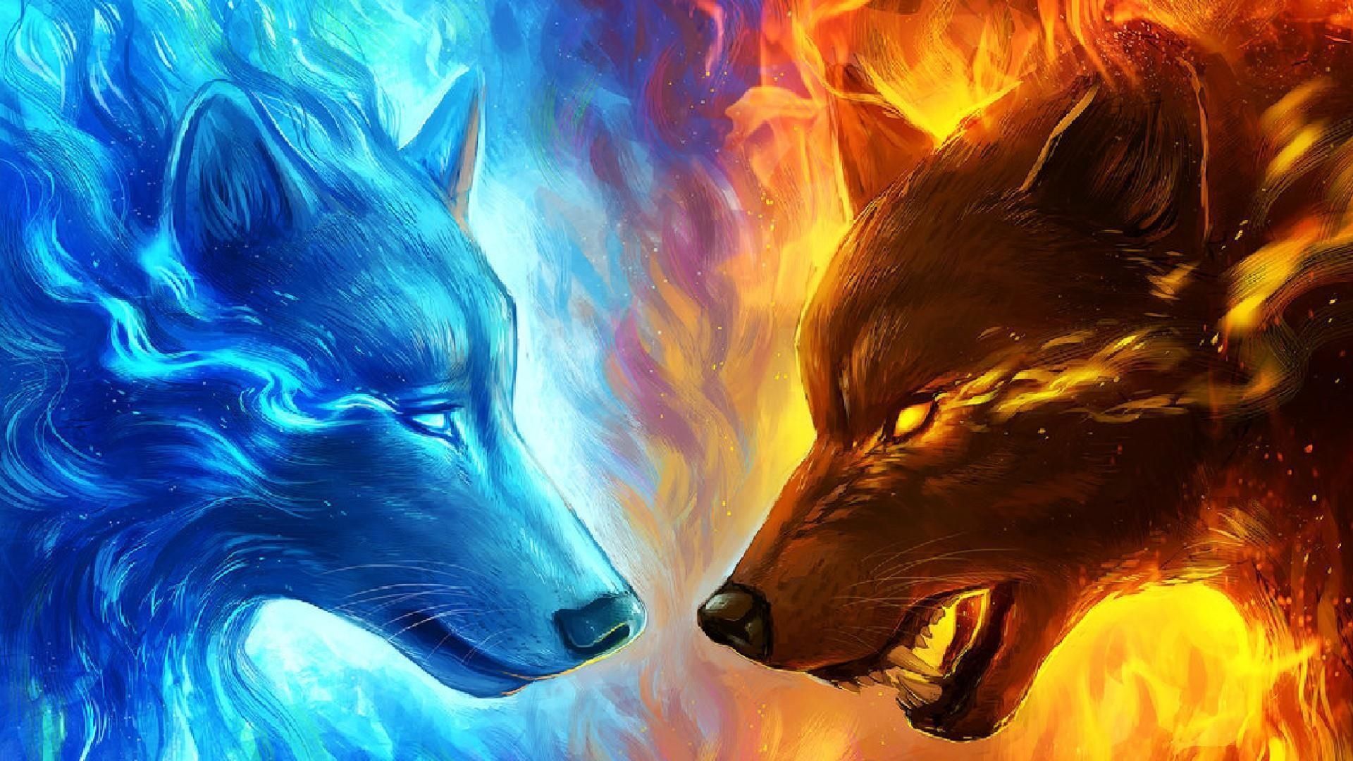 Fox And Wolf Wallpapers