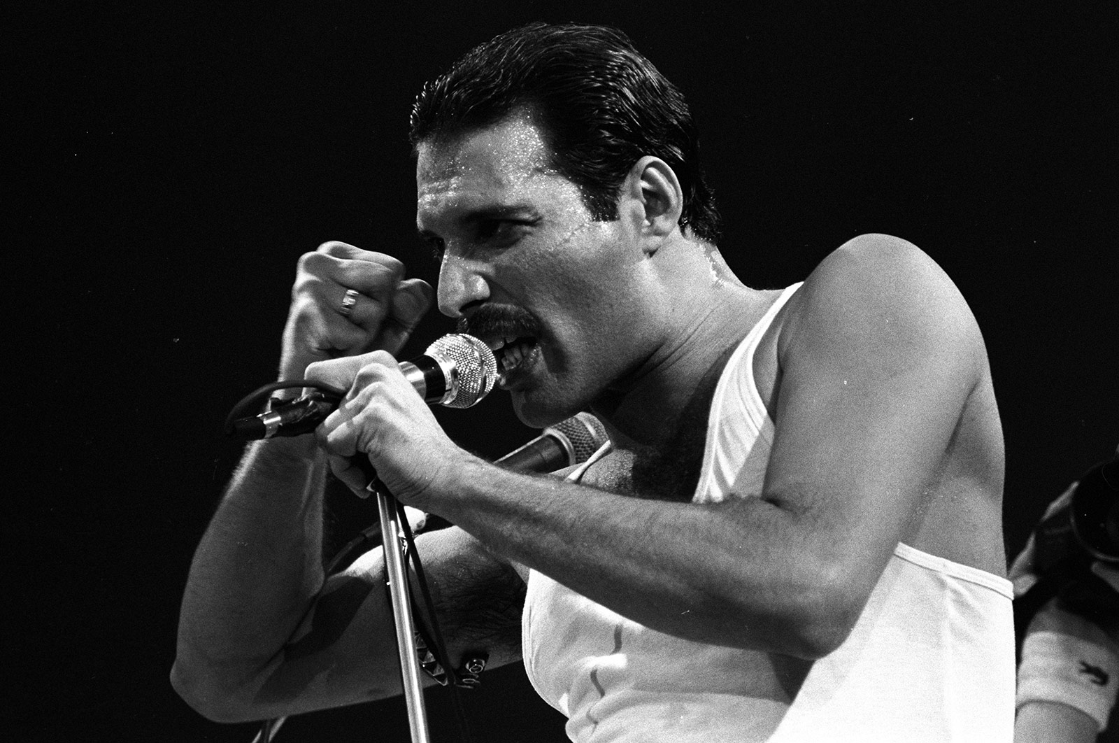 Freddie Mercury At Live Aid Images Wallpapers