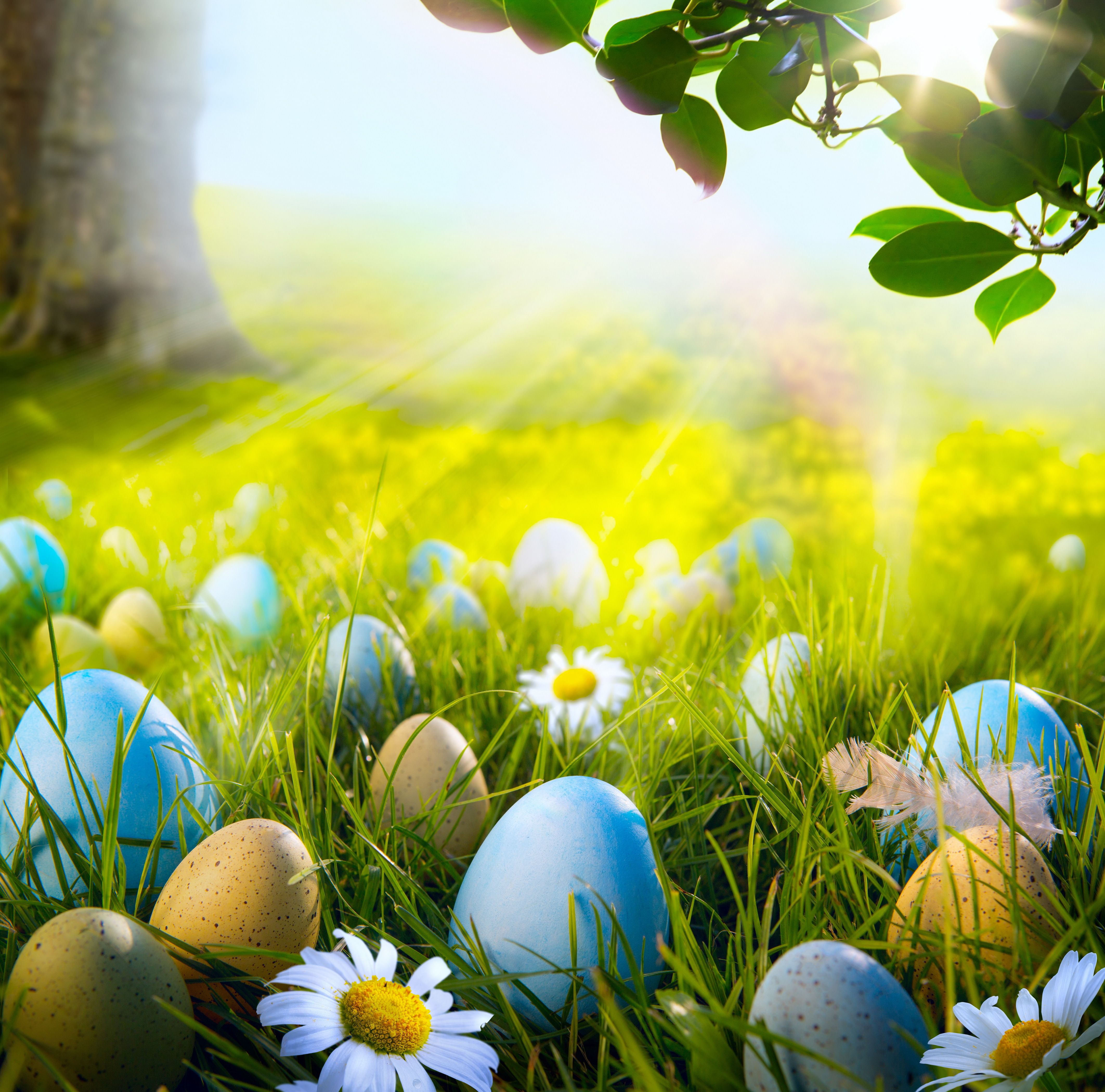 Free Easter Wallpapers