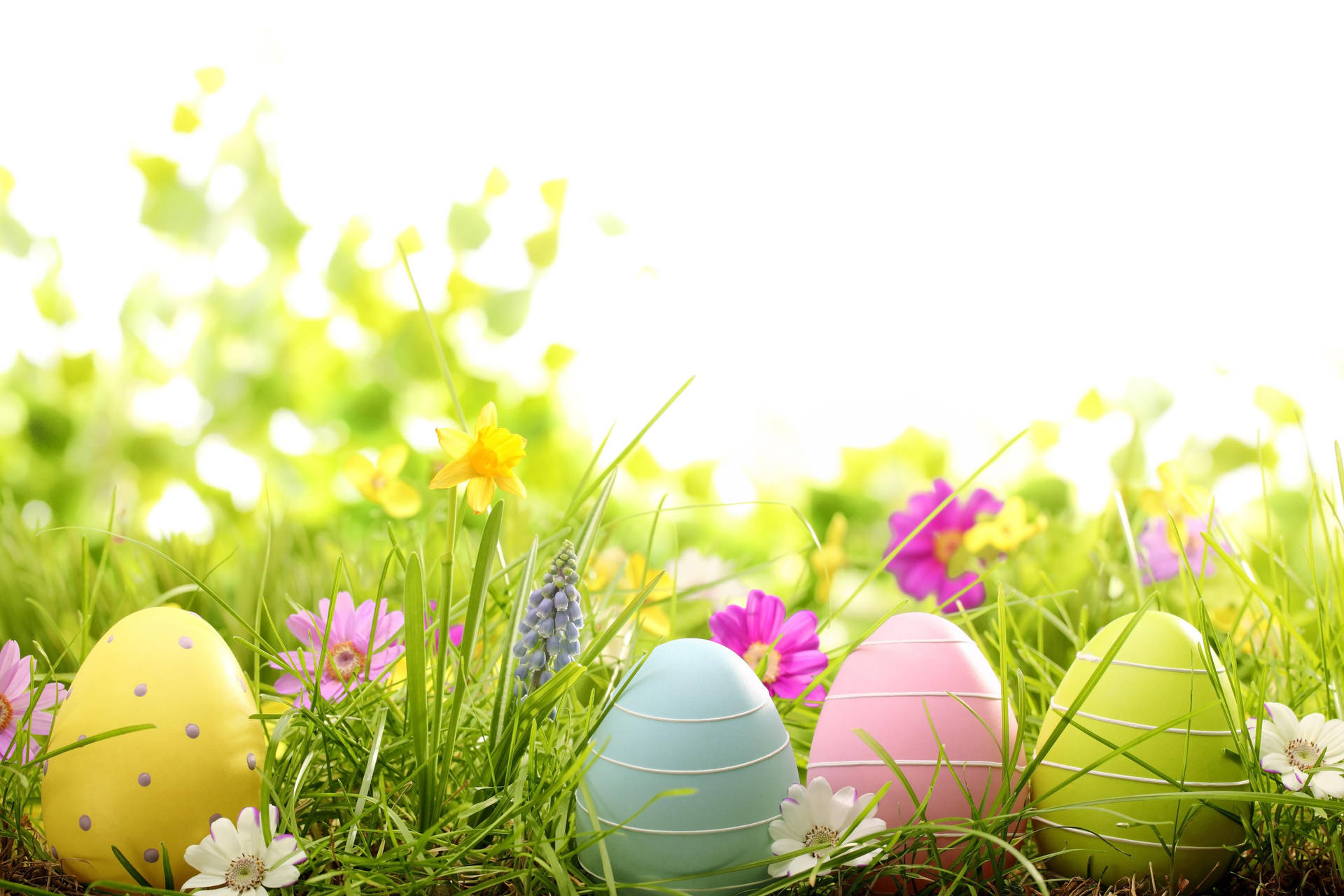 Free Easter For Desktop Wallpapers