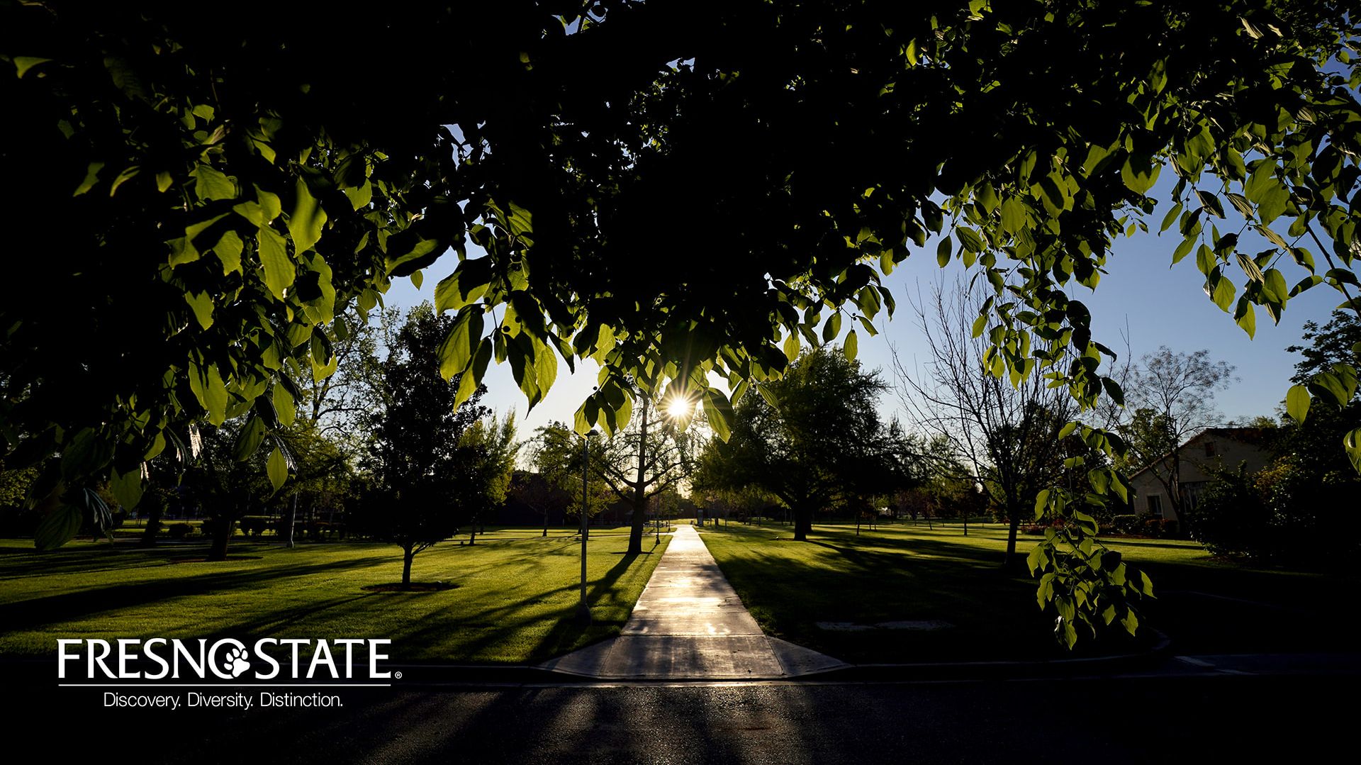 Fresno State Wallpapers