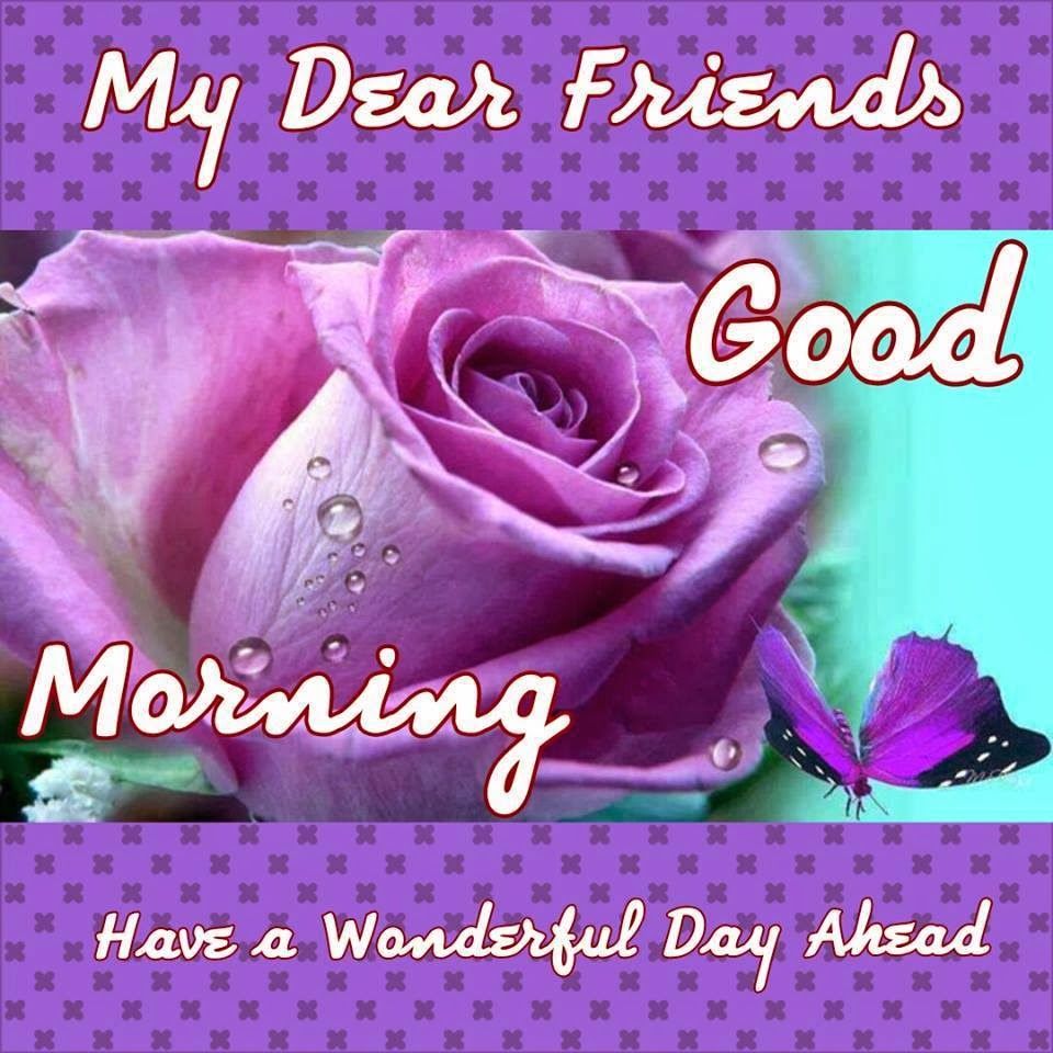 Friend Good Morning Images Wallpapers