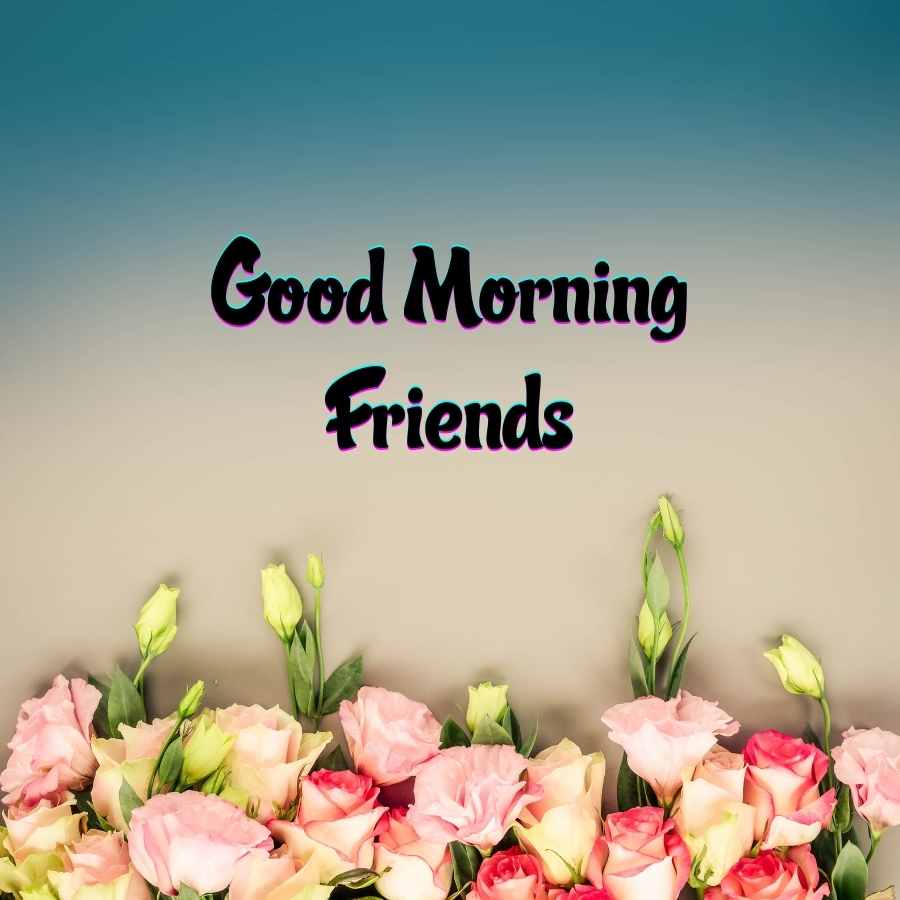 Friend Good Morning Images Wallpapers