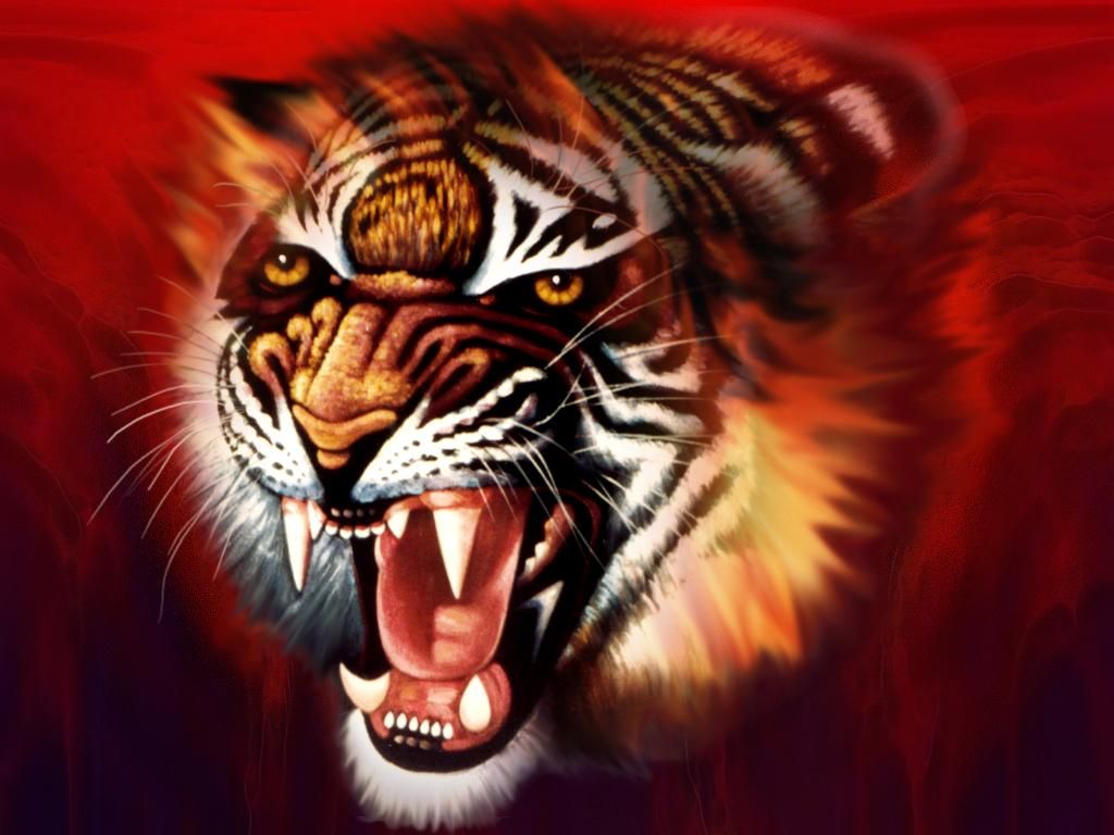 Full Hd Tiger 3D Wallpapers