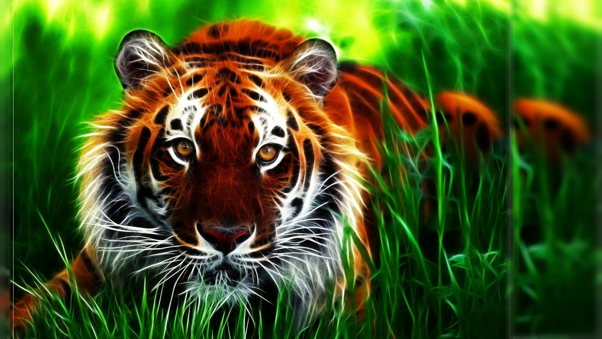 Full Hd Tiger 3D Wallpapers