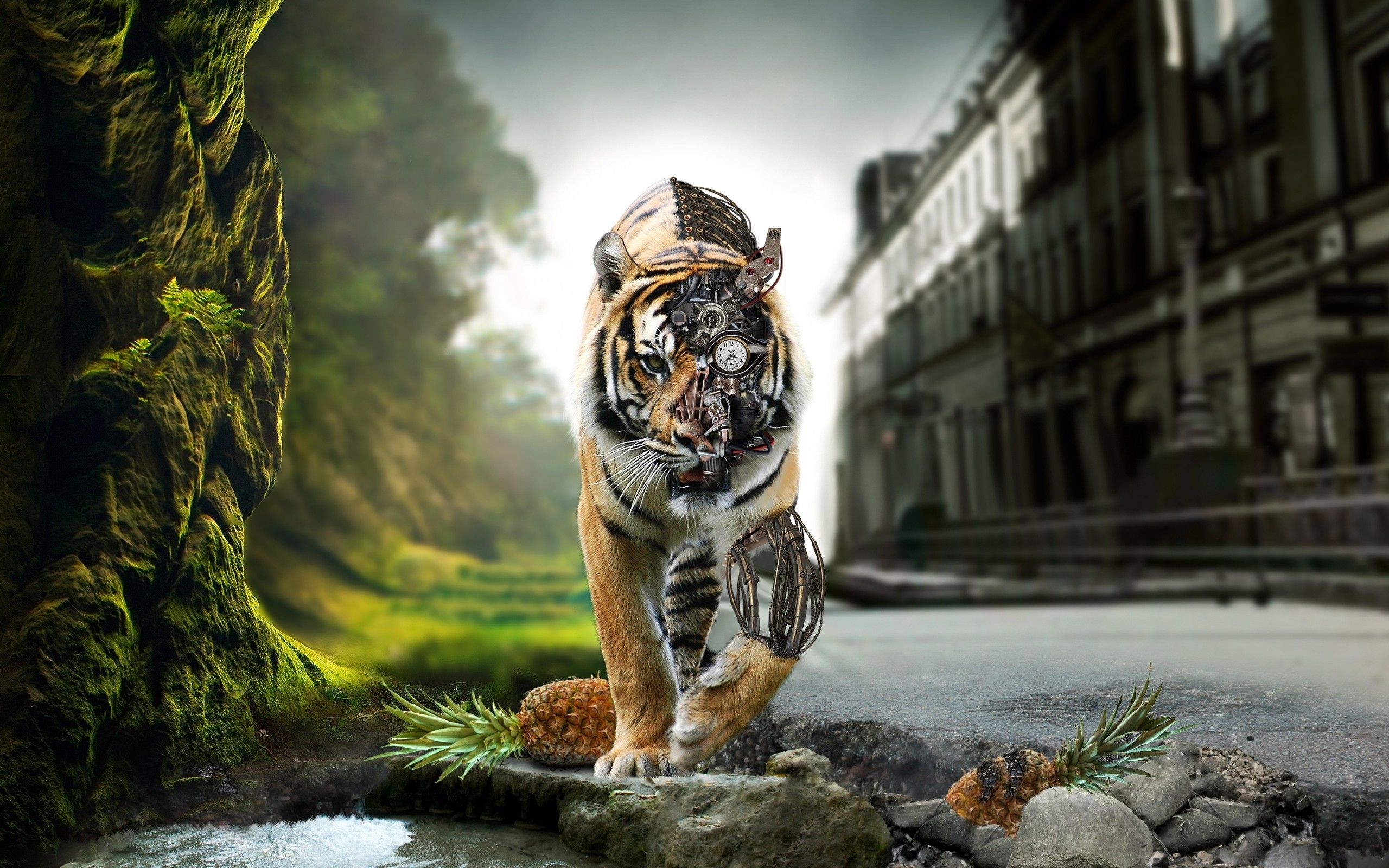 Full Hd Tiger 3D Wallpapers