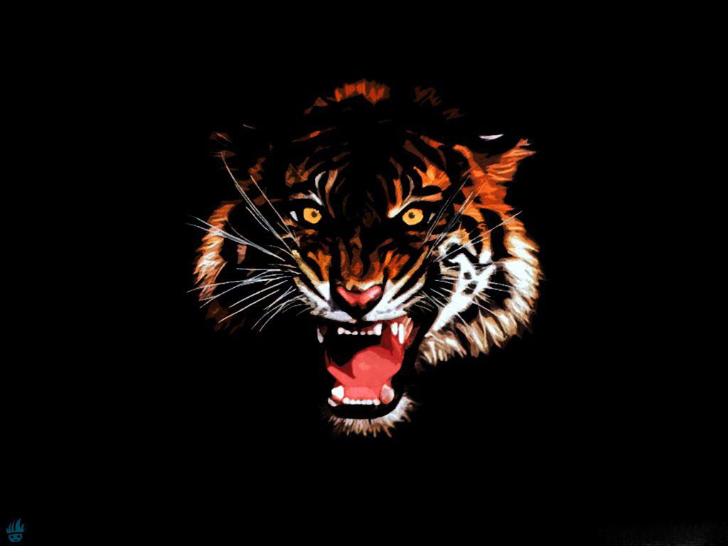 Full Hd Tiger 3D Wallpapers