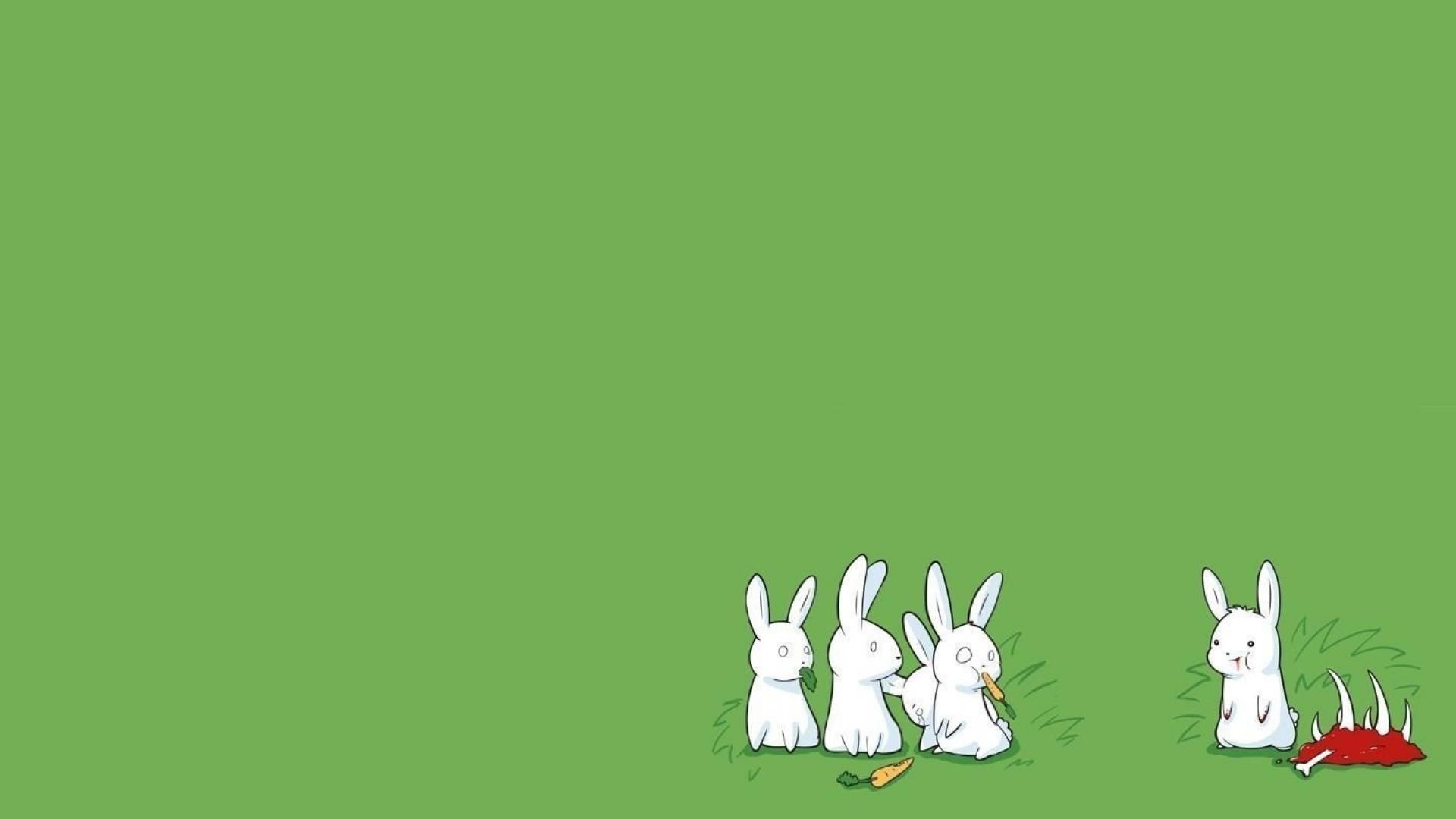 Funny Bunny Pics Wallpapers