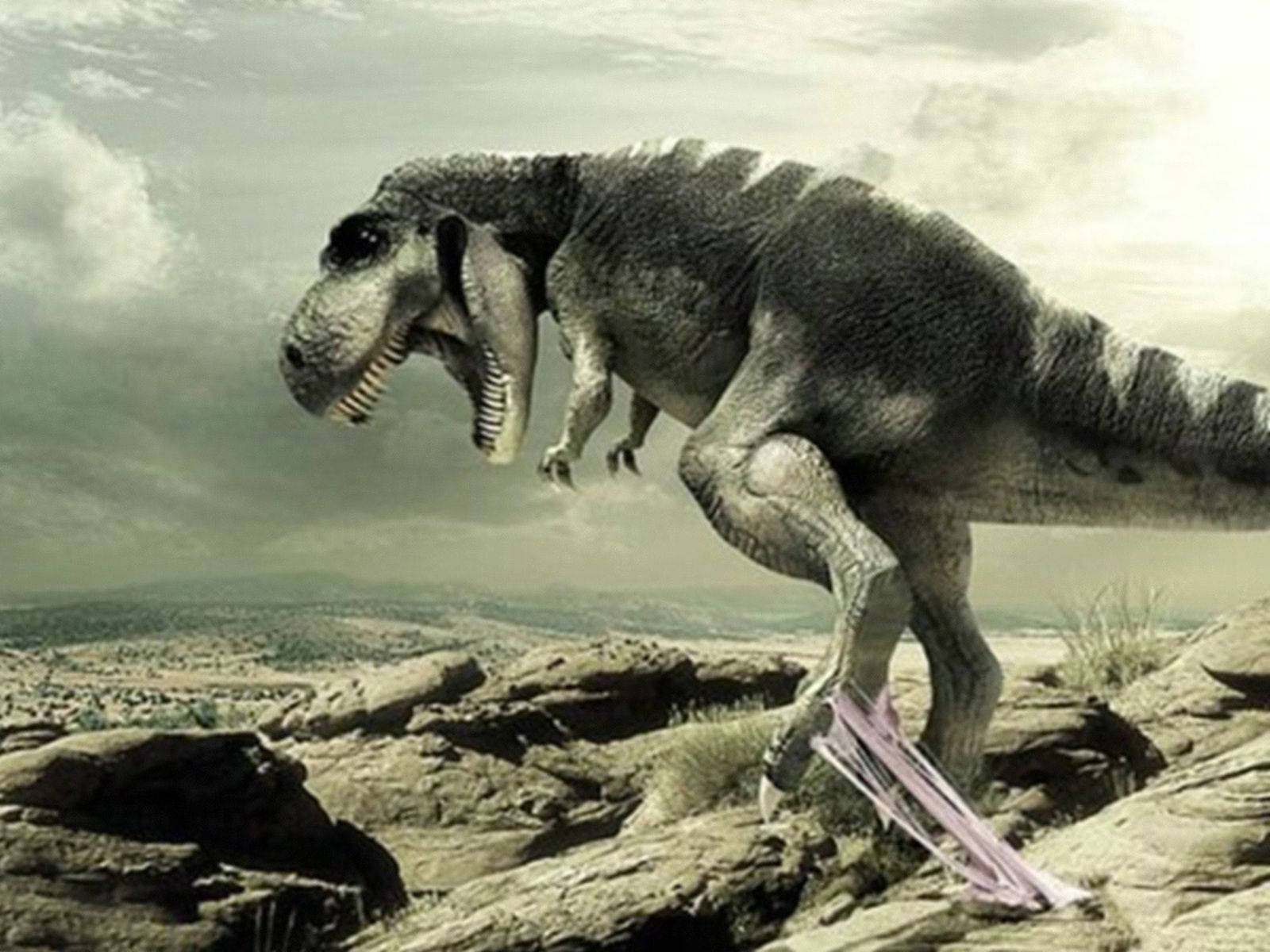 Funny Dinosaur Wallpapers