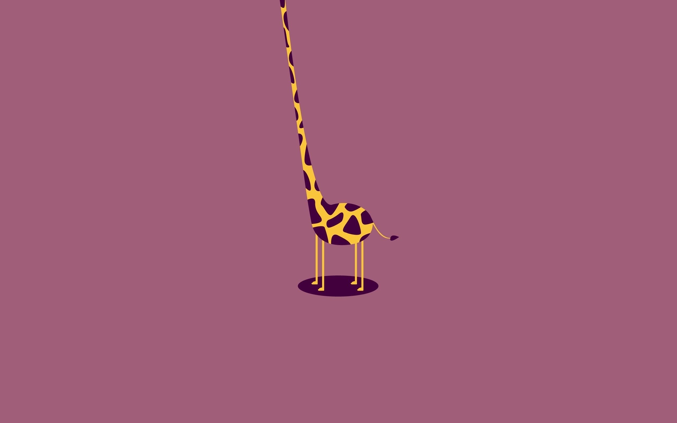 Funny Giraffe Wallpapers