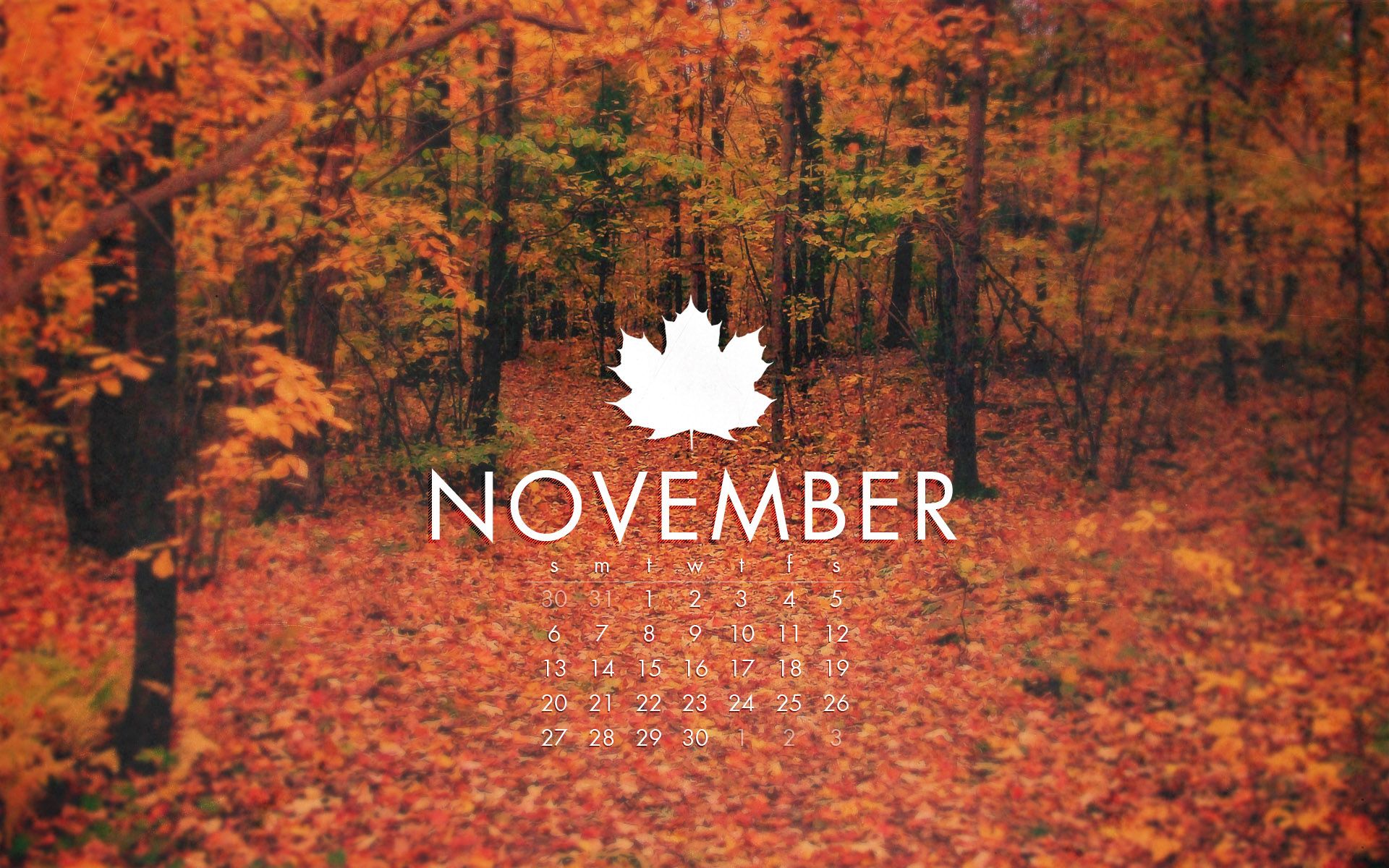 Funny November Pictures Wallpapers