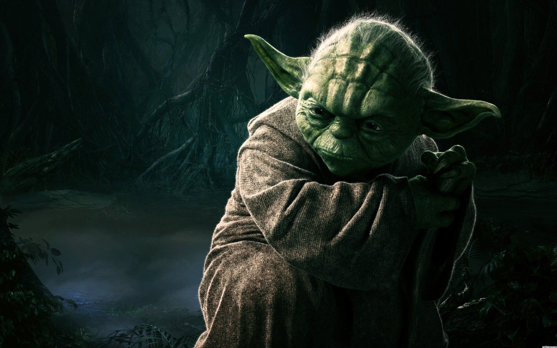 Funny Yoda Picture Wallpapers