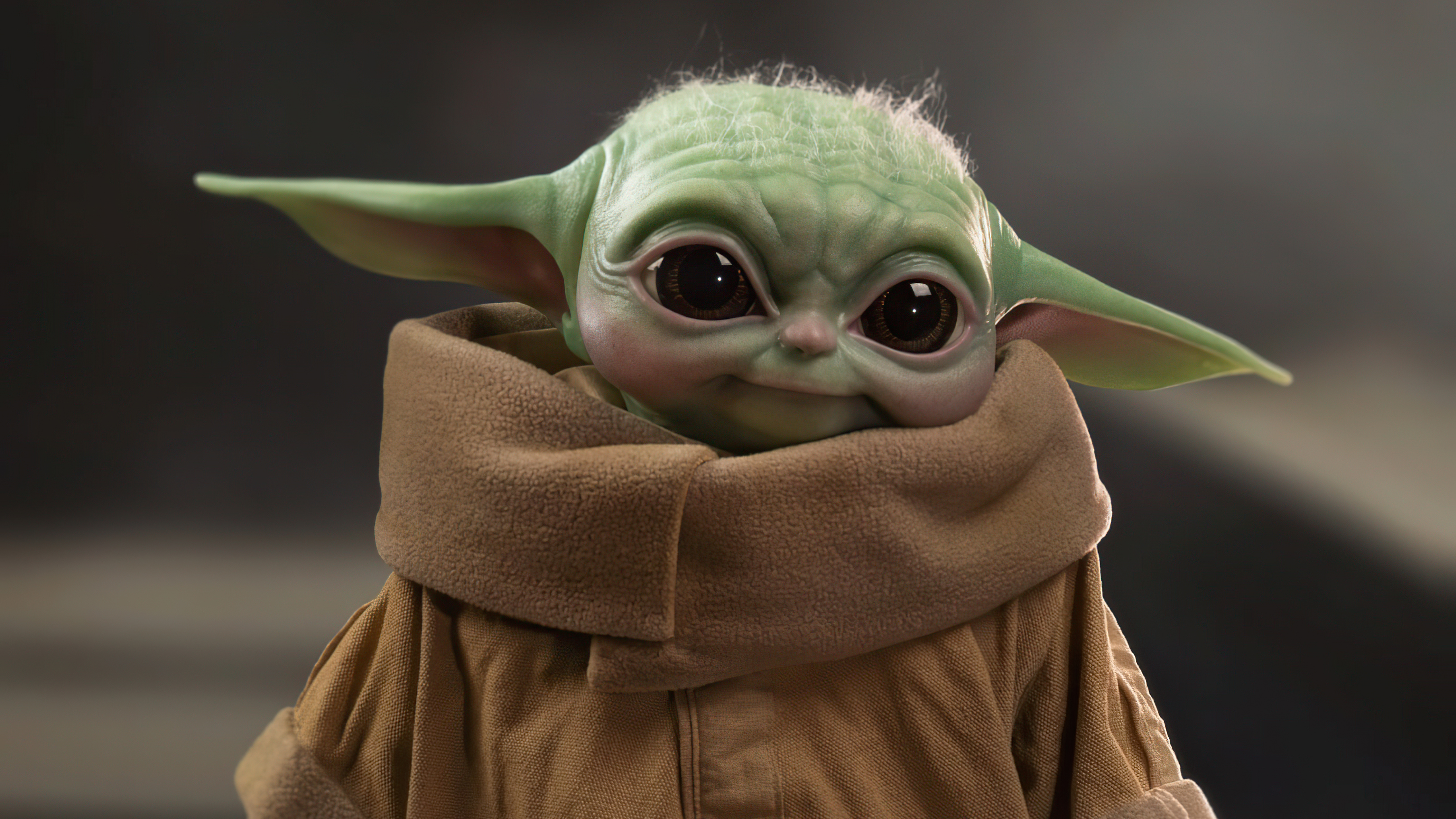 Funny Yoda Picture Wallpapers