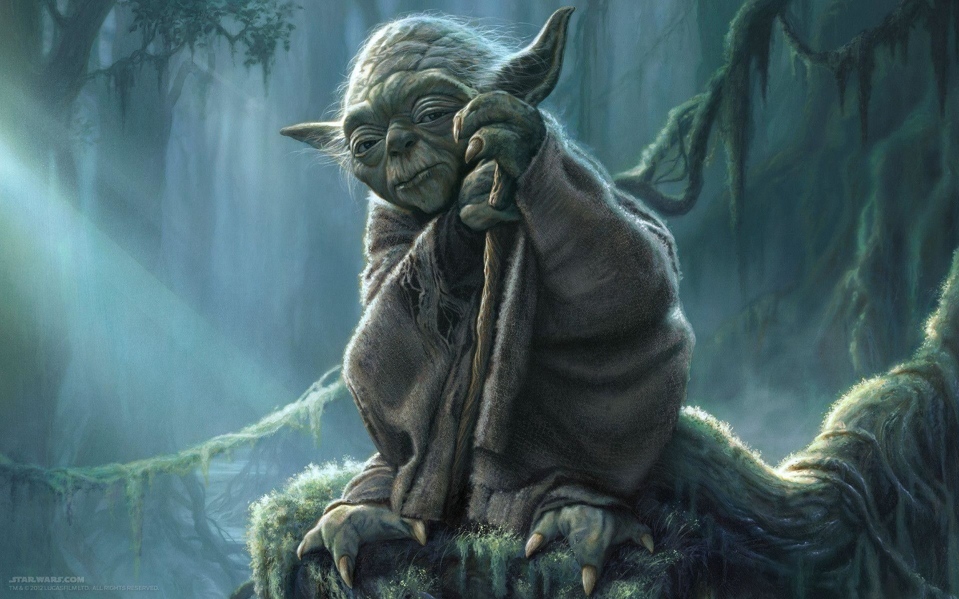 Funny Yoda Picture Wallpapers