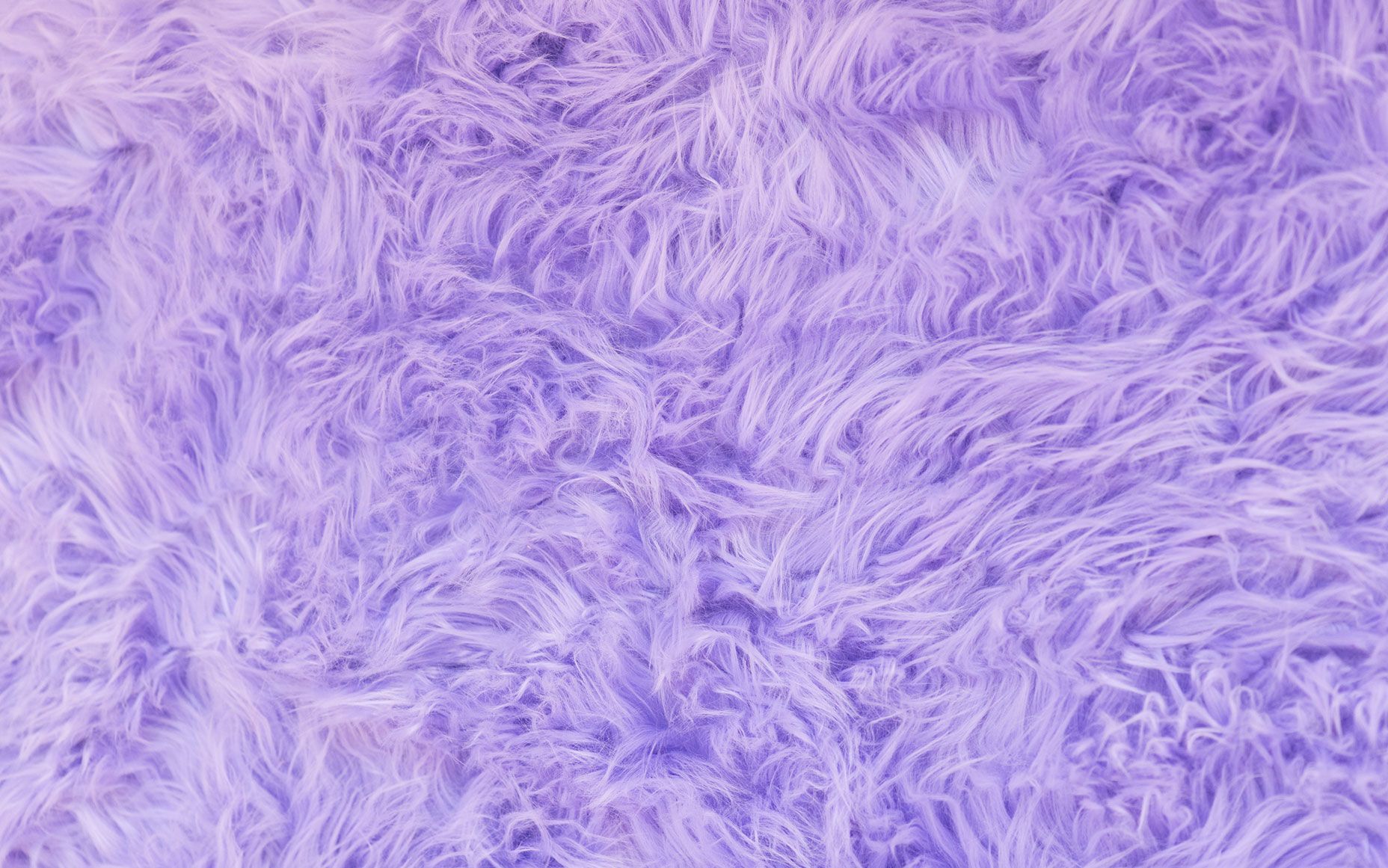 Fur Wallpapers