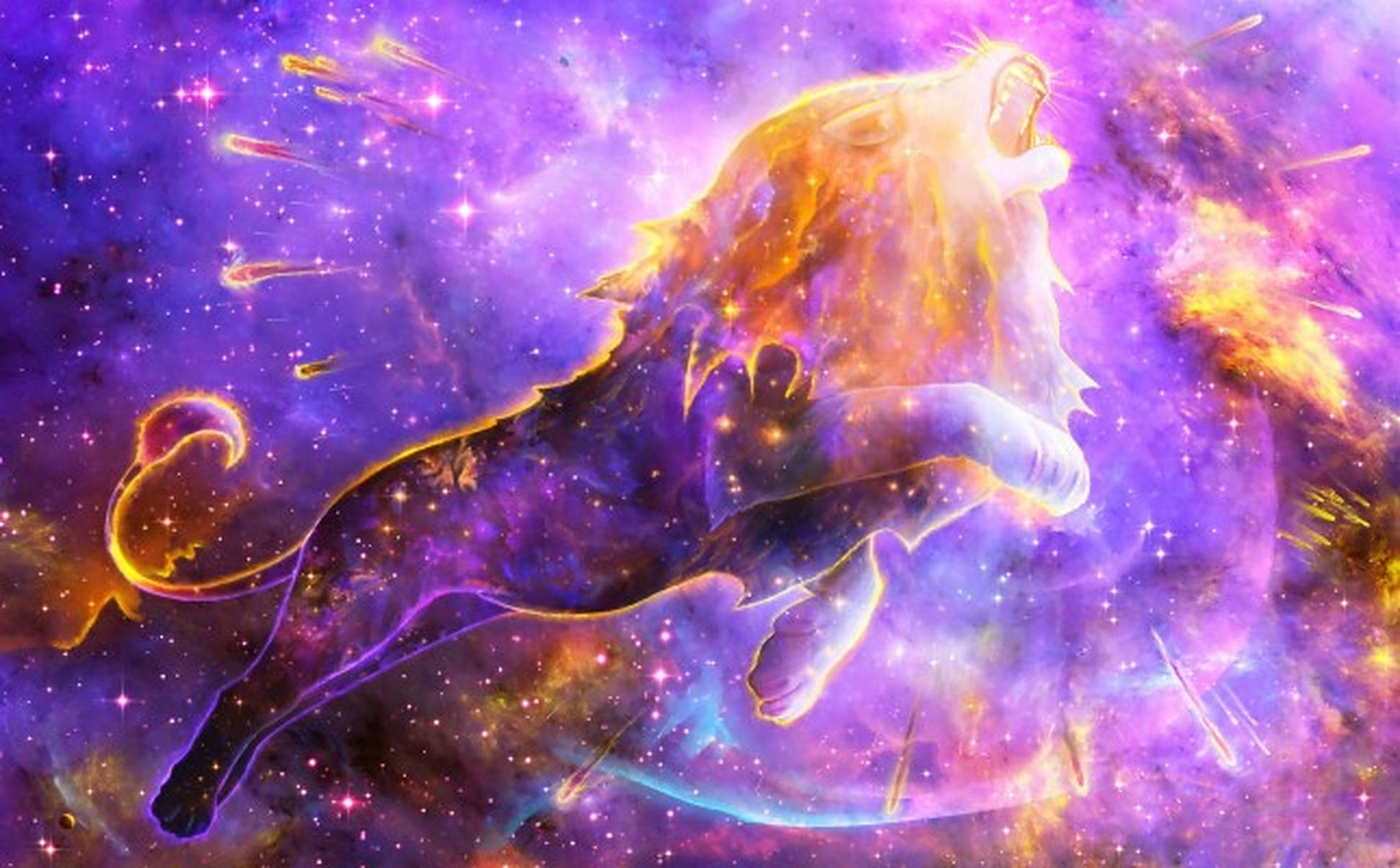 Galaxy Animal Pictures Wallpapers