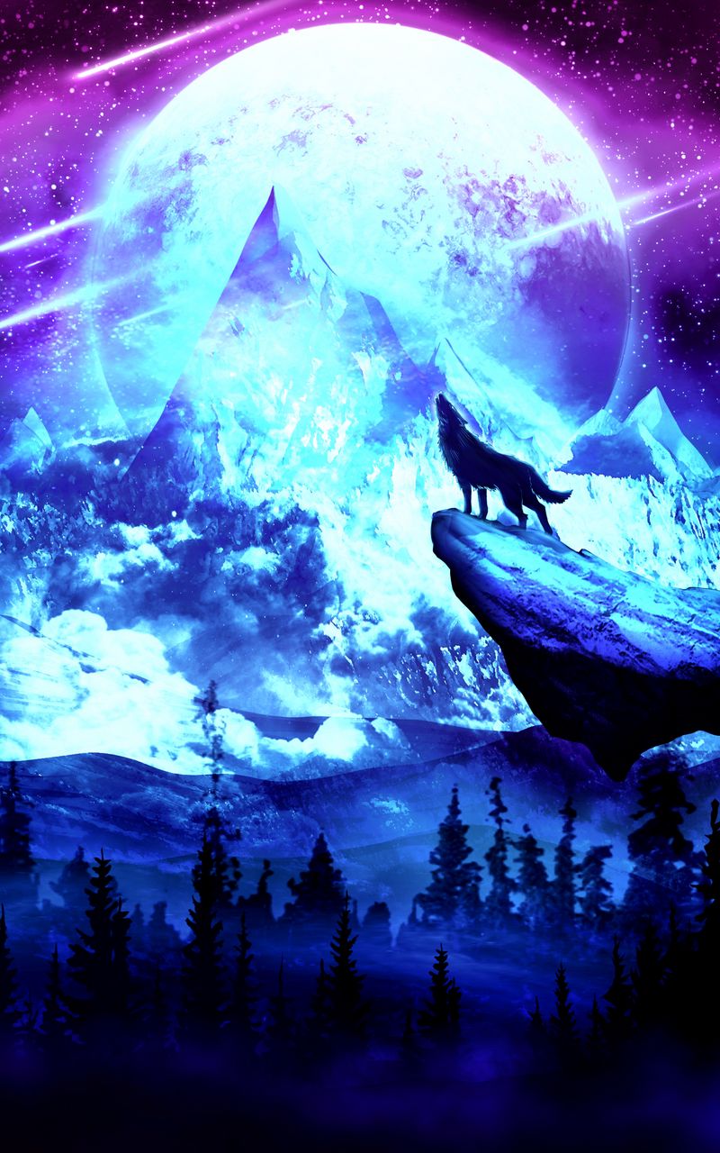 Galaxy Cute Wolf Drawings Wallpapers