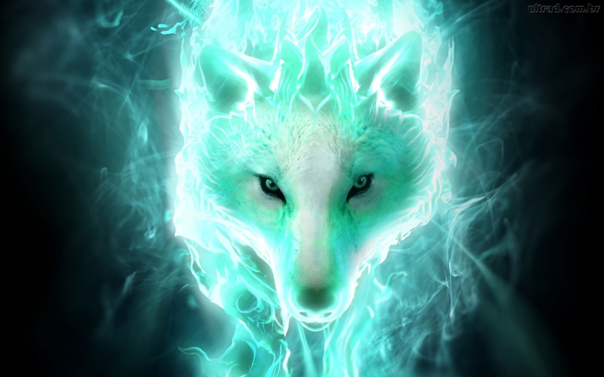 Galaxy Cute Wolf Drawings Wallpapers