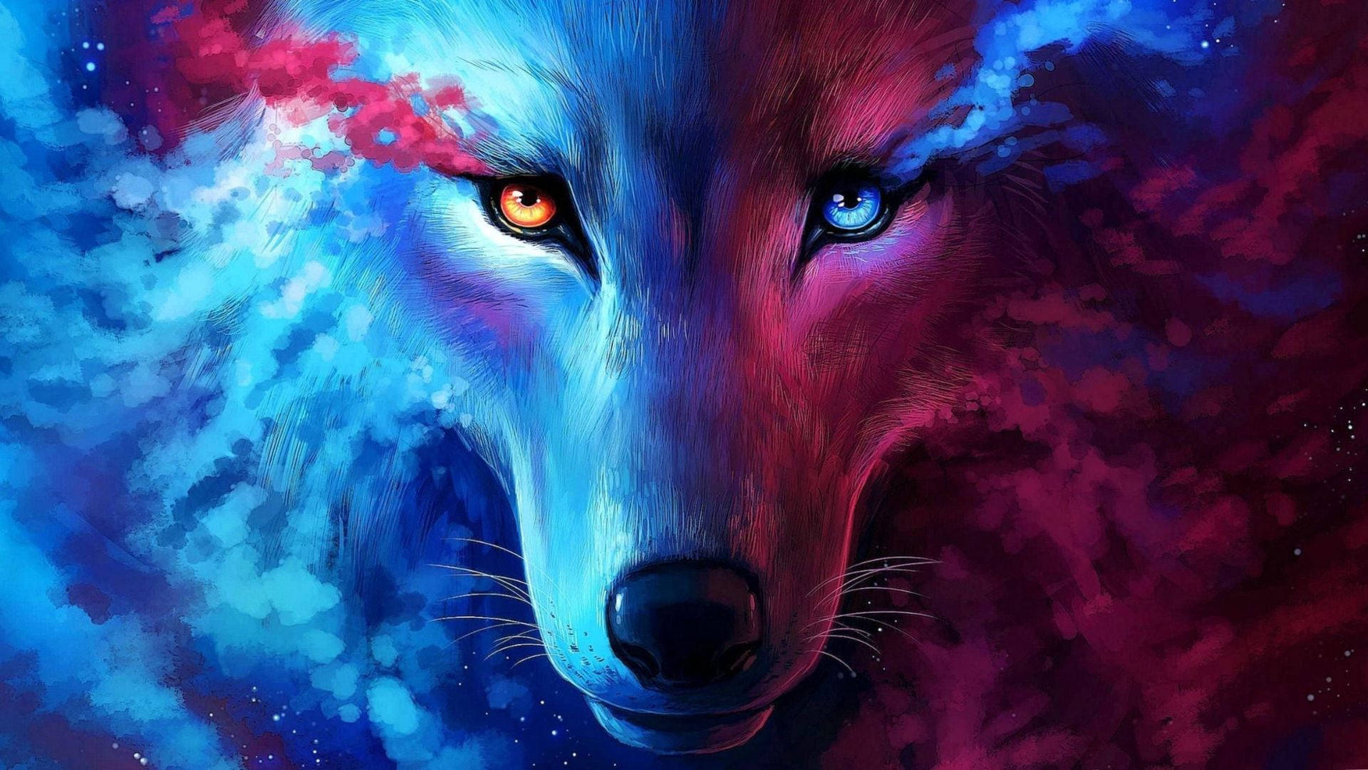 Galaxy Cute Wolf Drawings Wallpapers