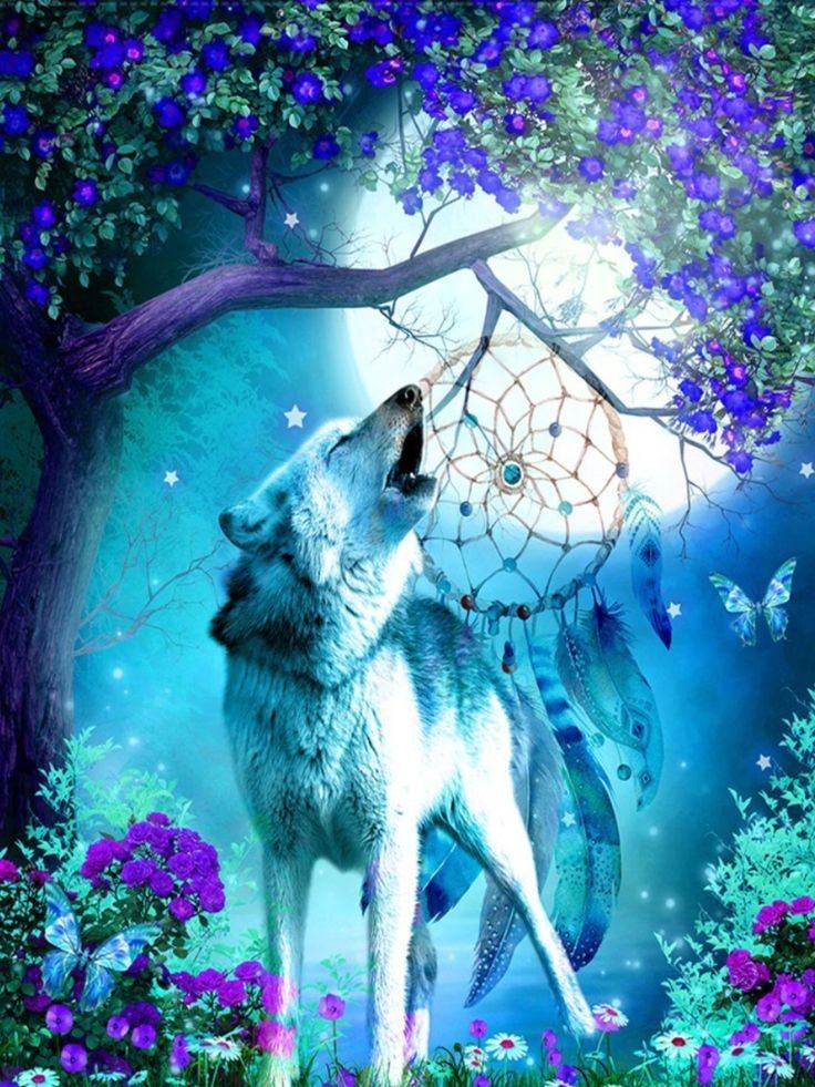 Galaxy Cute Wolf Drawings Wallpapers