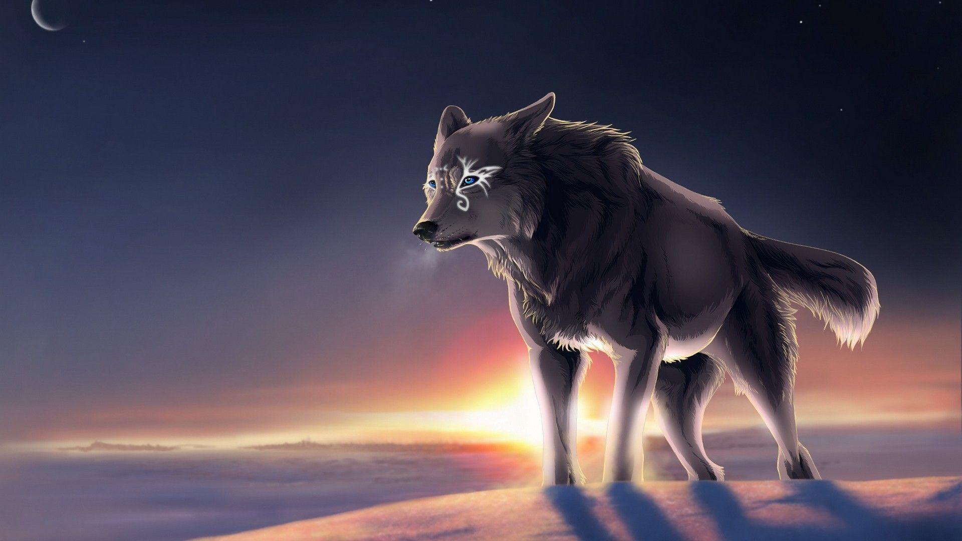 Galaxy Cute Wolf Drawings Wallpapers