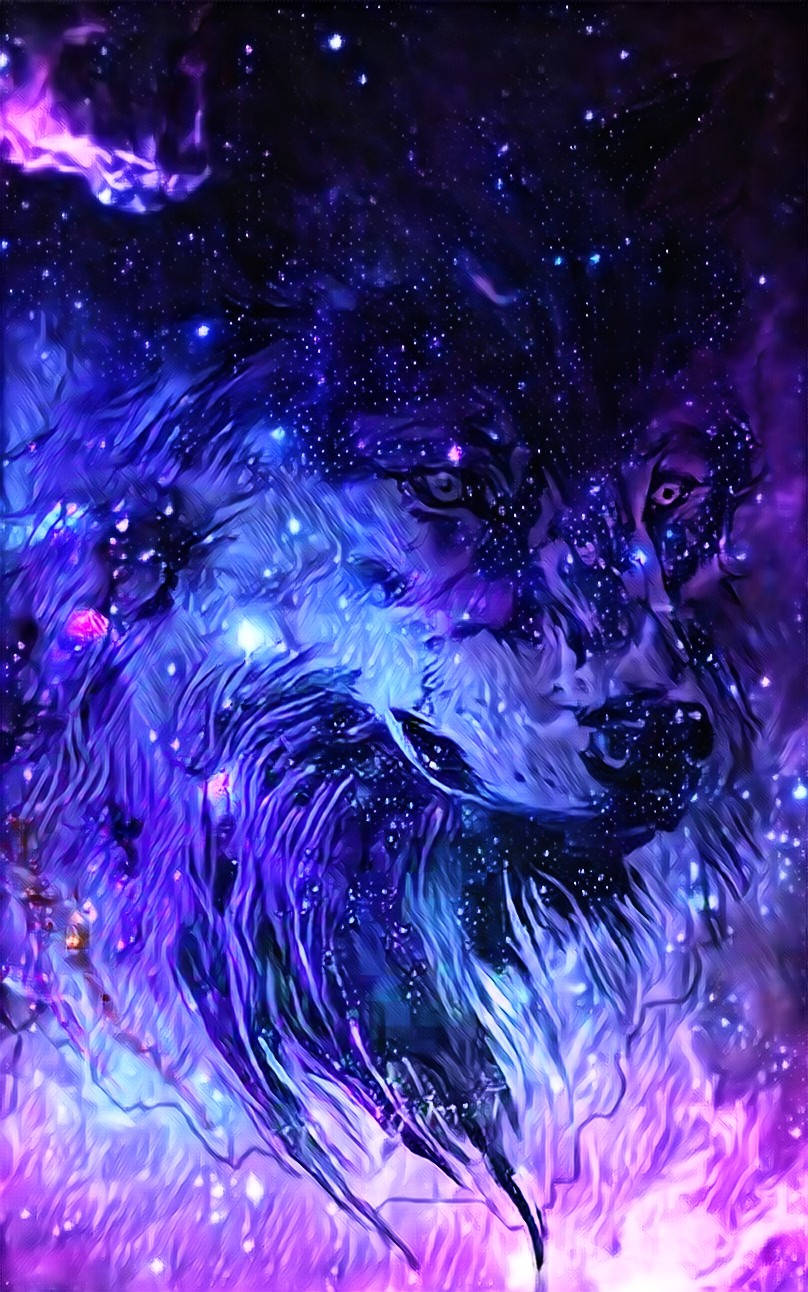 Galaxy Cute Wolf Drawings Wallpapers