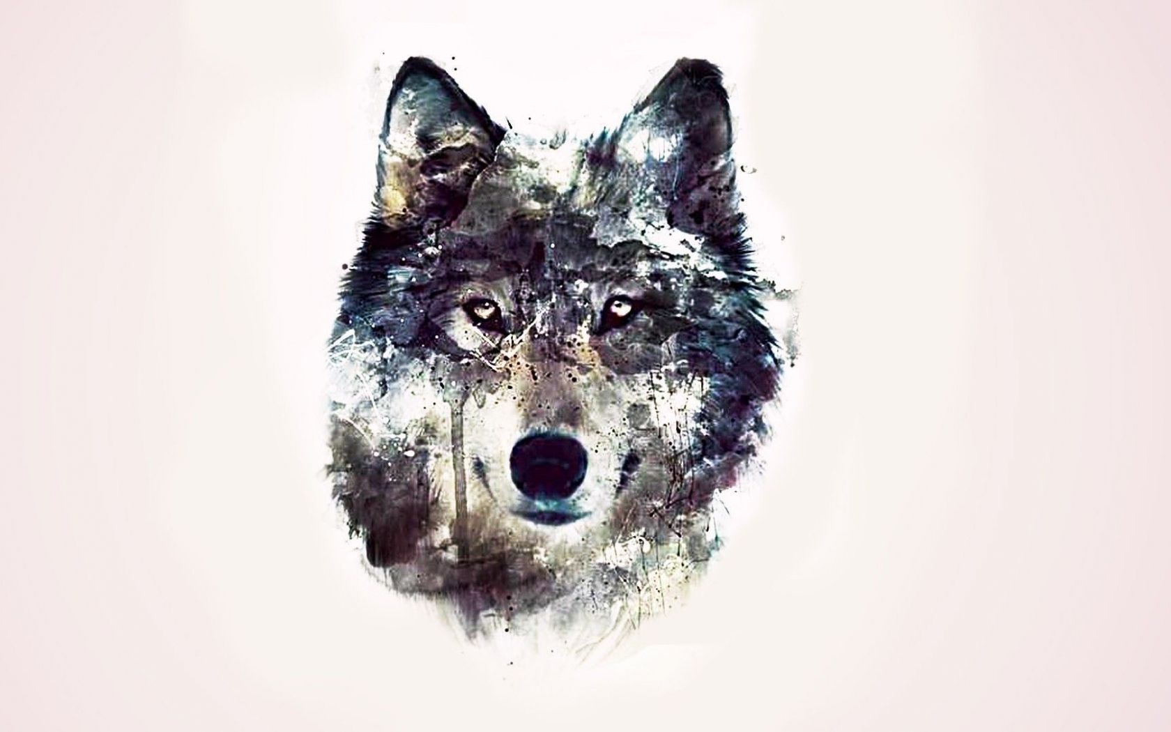 Galaxy Cute Wolf Drawings Wallpapers