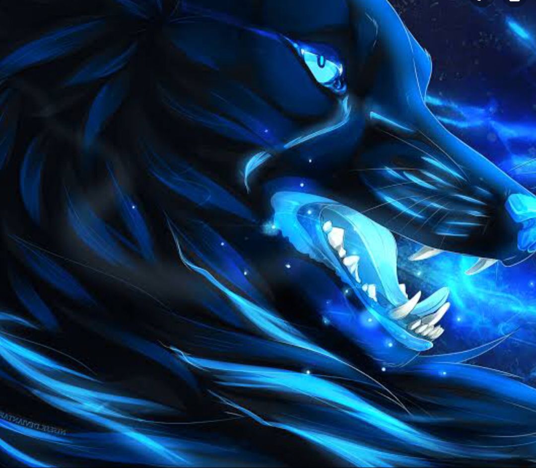 Galaxy Cute Wolf Drawings Wallpapers