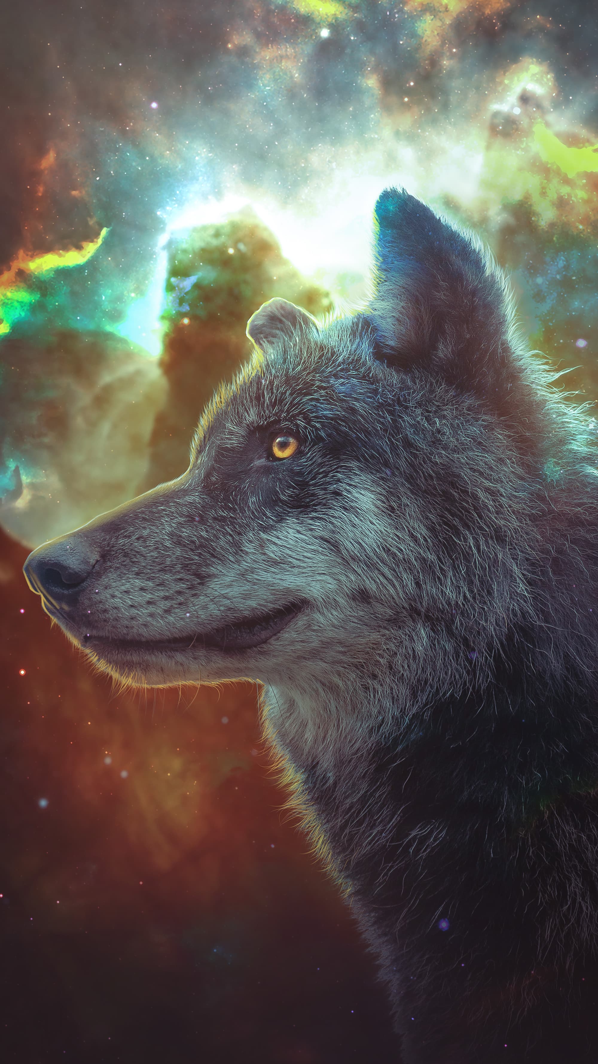 Galaxy Cute Wolf Drawings Wallpapers