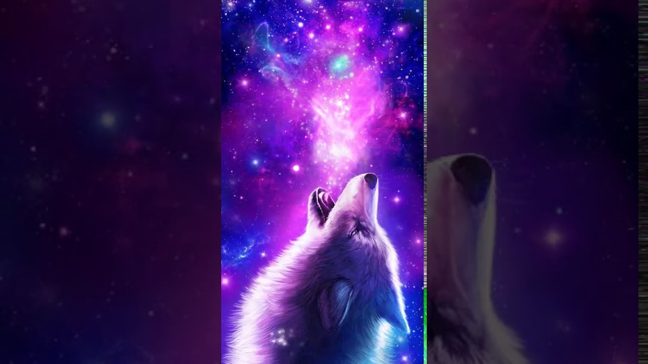 Galaxy Cute Wolf Drawings Wallpapers