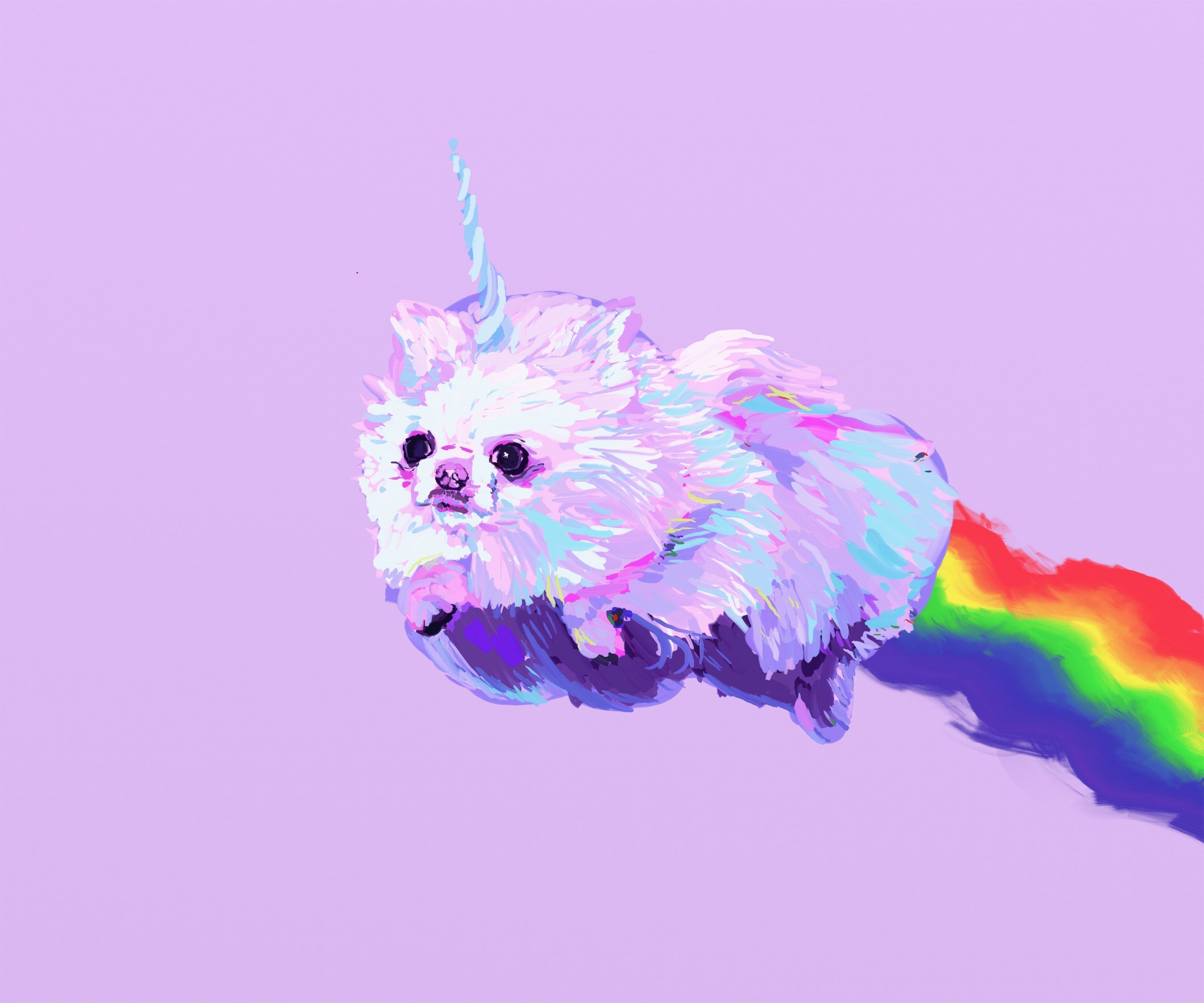 Galaxy Dog Wallpapers