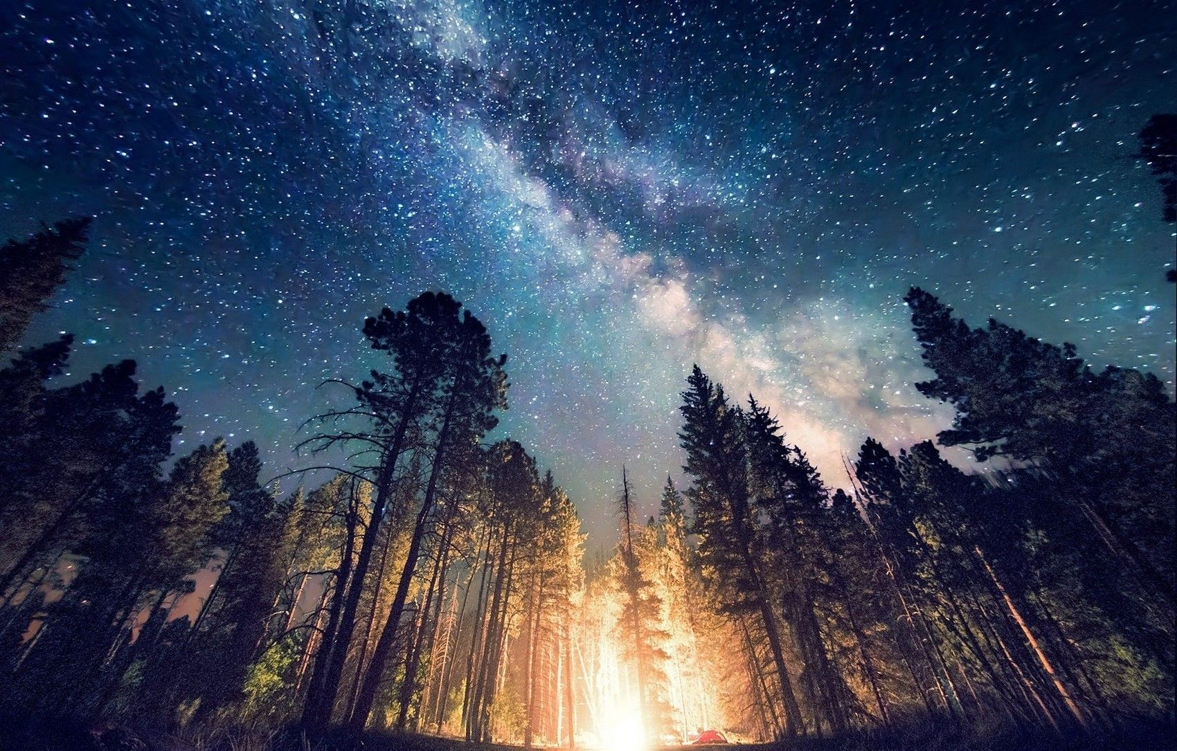 Galaxy Forest Wallpapers