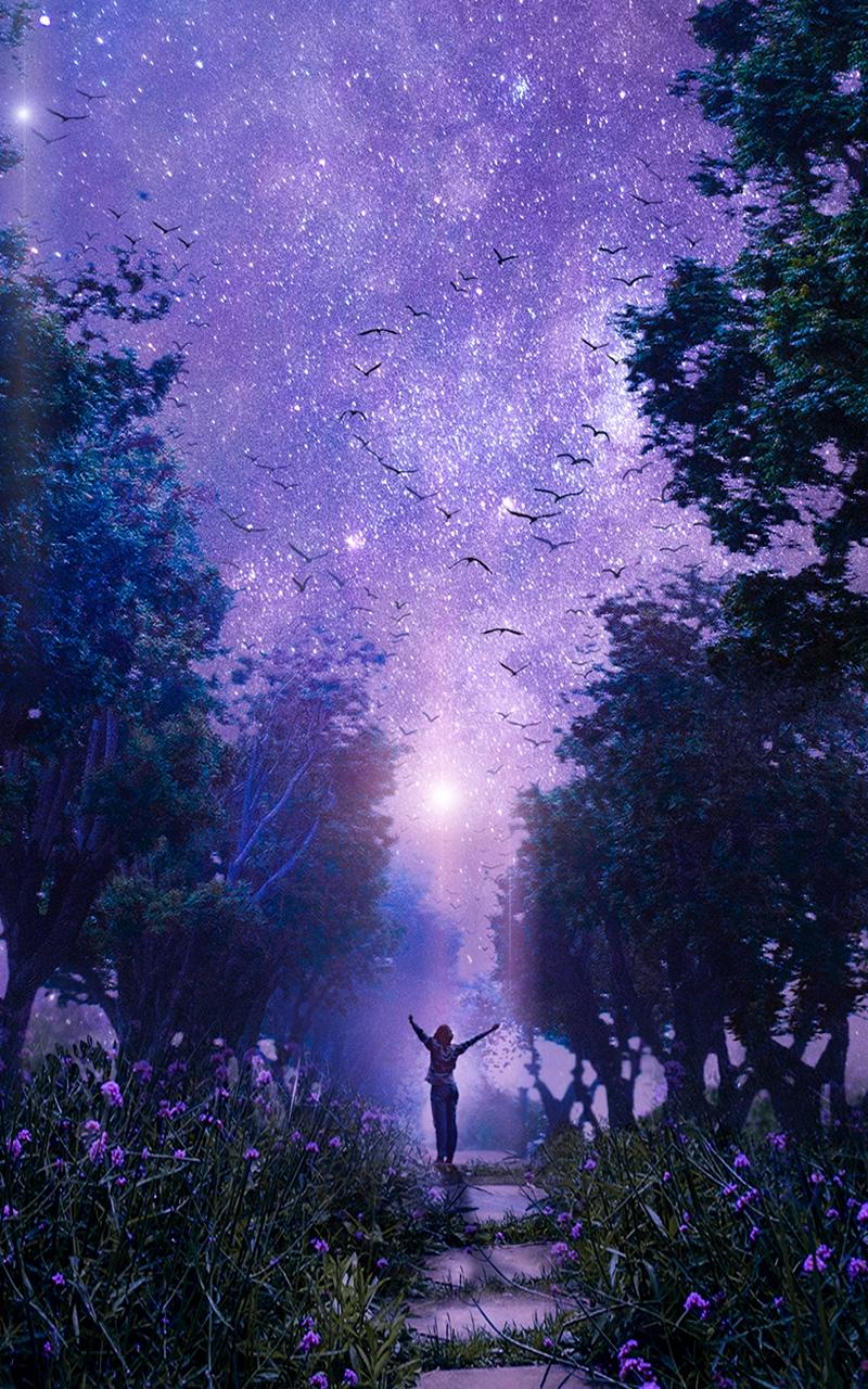 Galaxy Forest Wallpapers