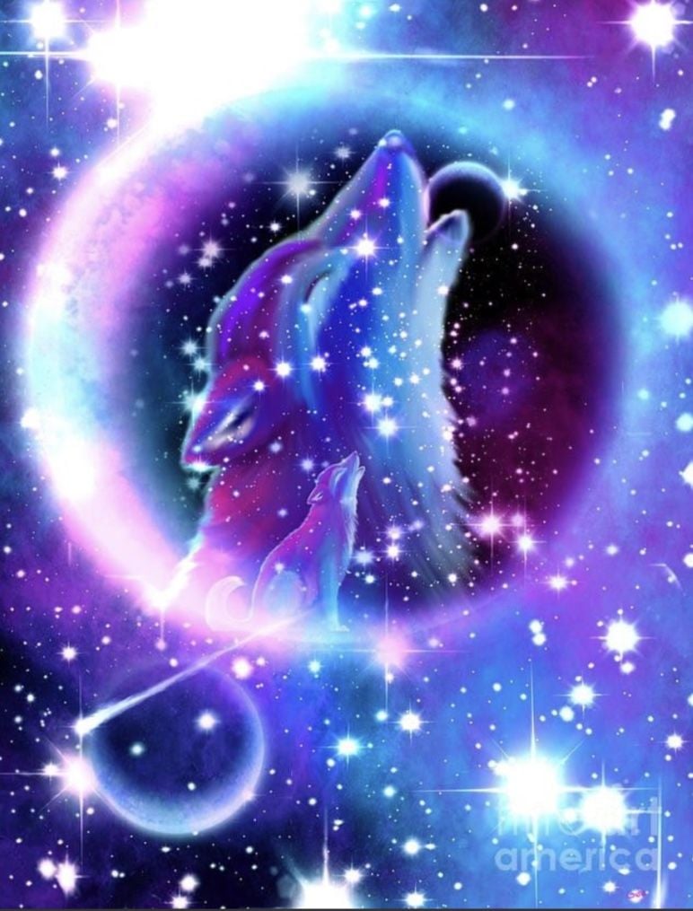 Galaxy Wolf Wallpapers