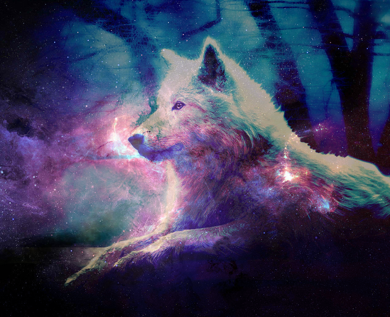 Galaxy Wolf Wallpapers