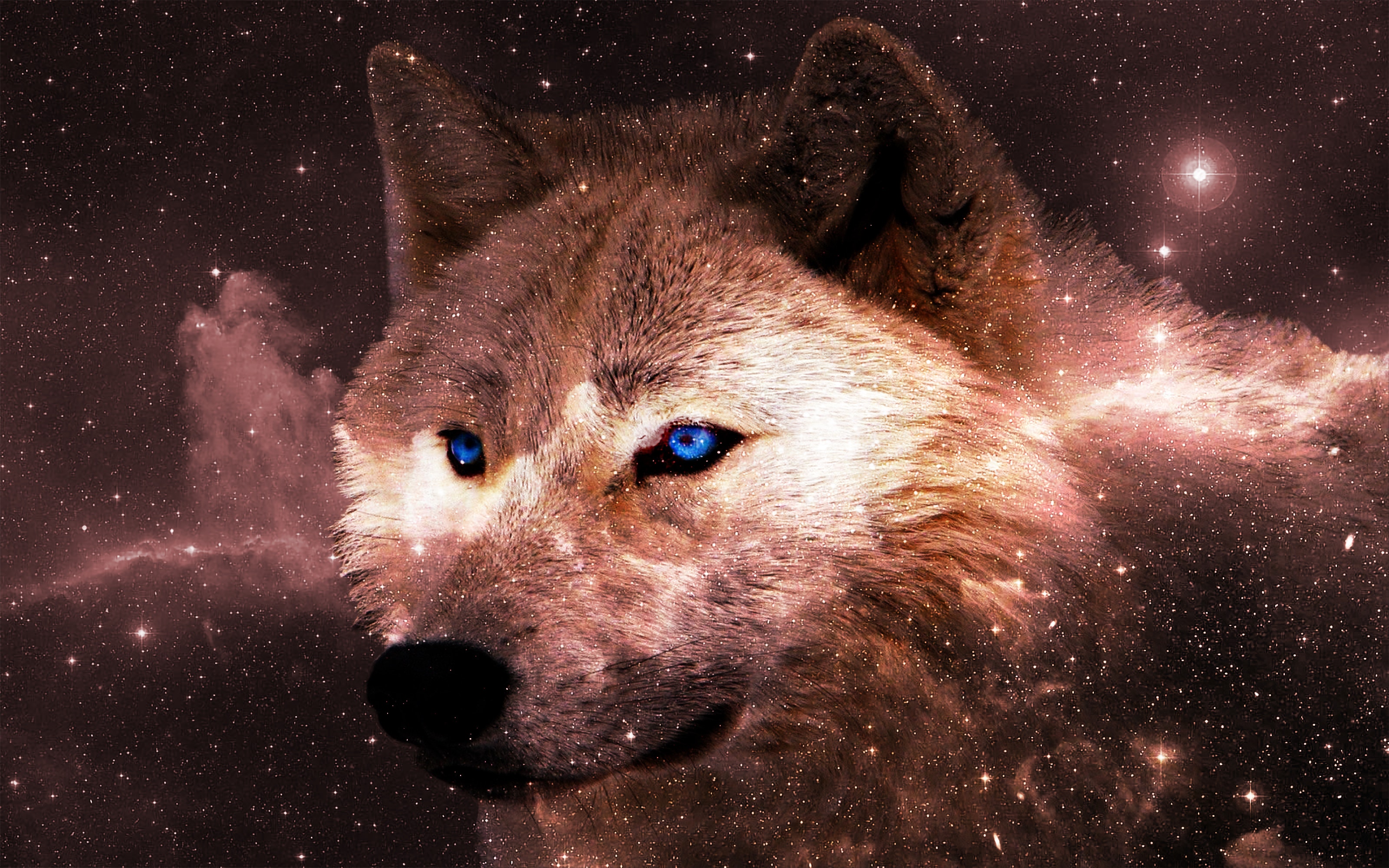 Galaxy Wolf Wallpapers