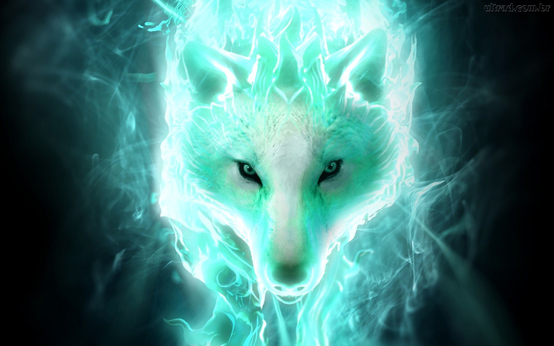 Galaxy Wolf Wallpapers