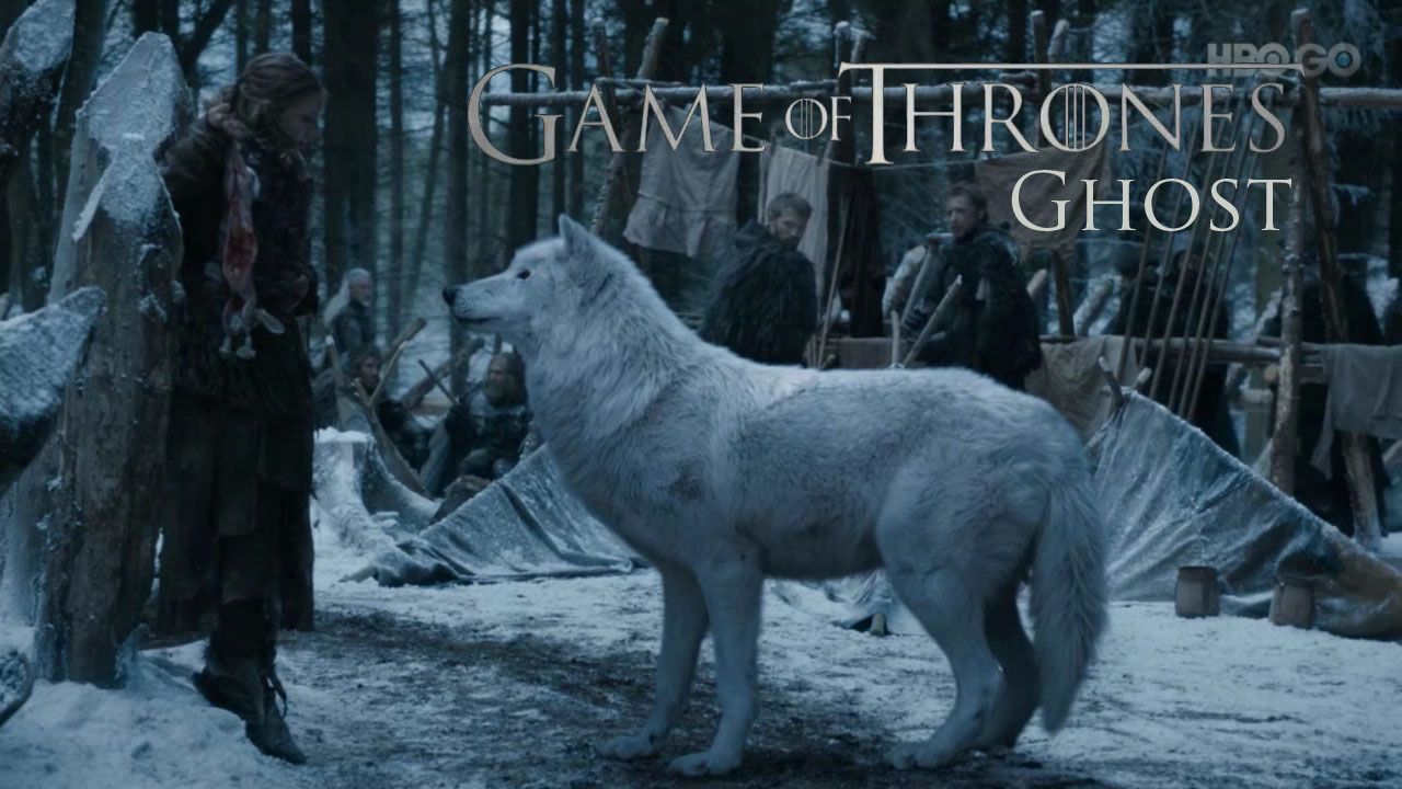 Game Of Thrones Ghost Wallpapers