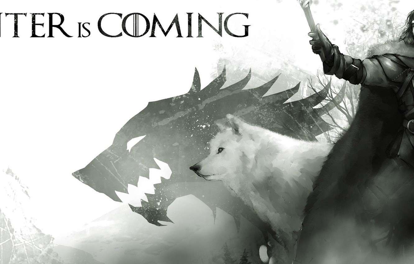 Game Of Thrones Ghost Wallpapers