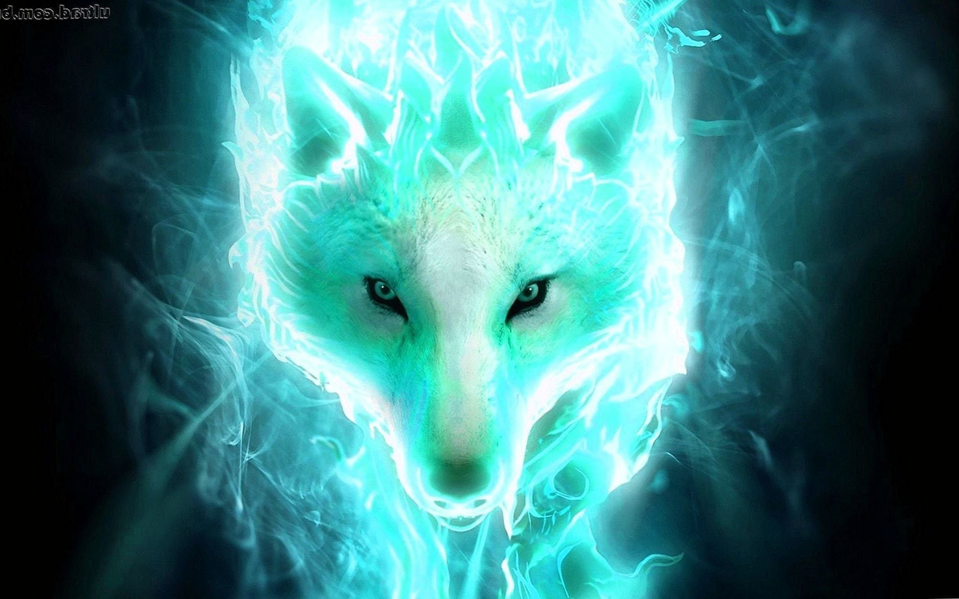 Game Of Thrones Ghost Wallpapers